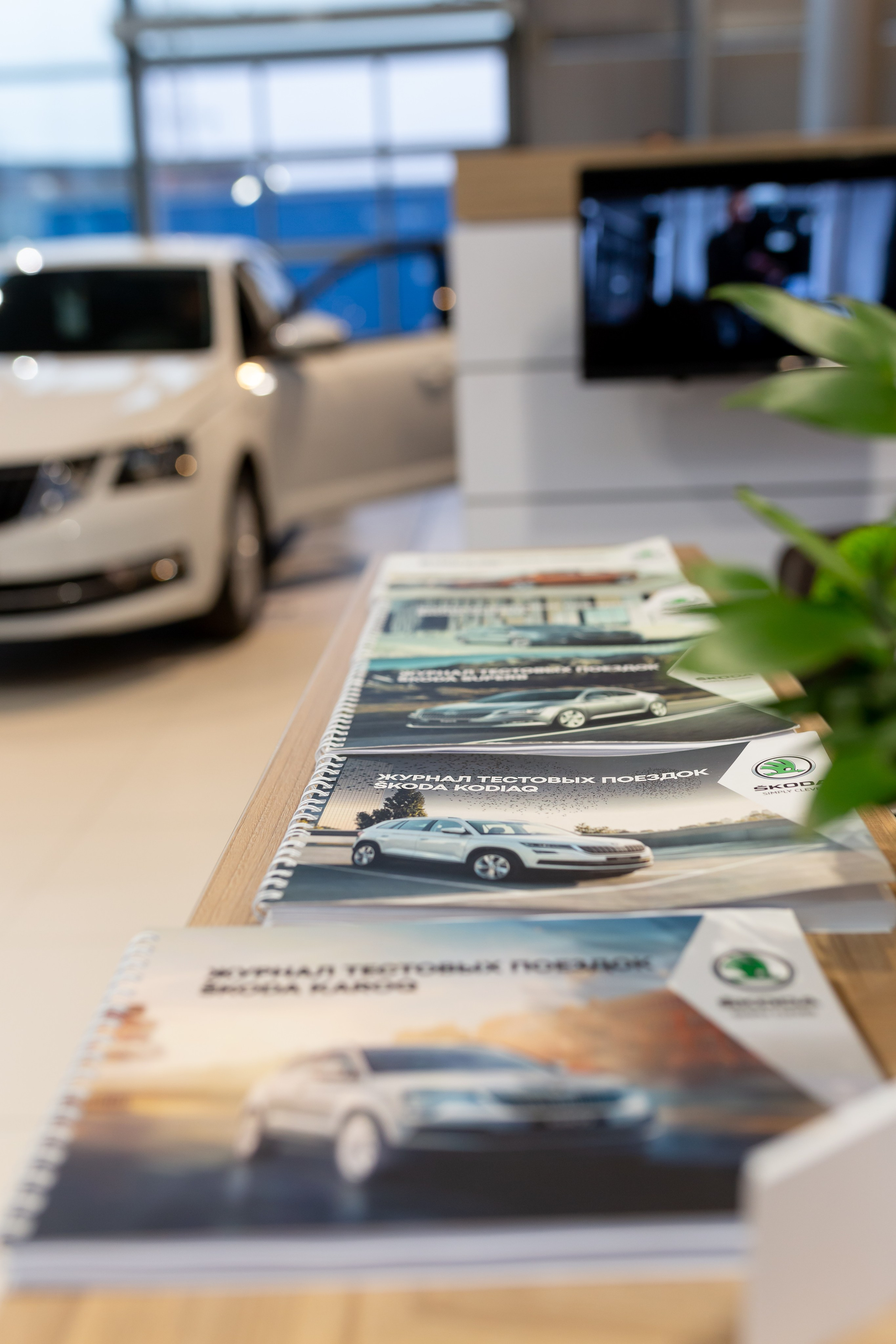 Презентация Škoda Karoq. Свадебный и Репортажный фотограф в Санкт-Петербурге