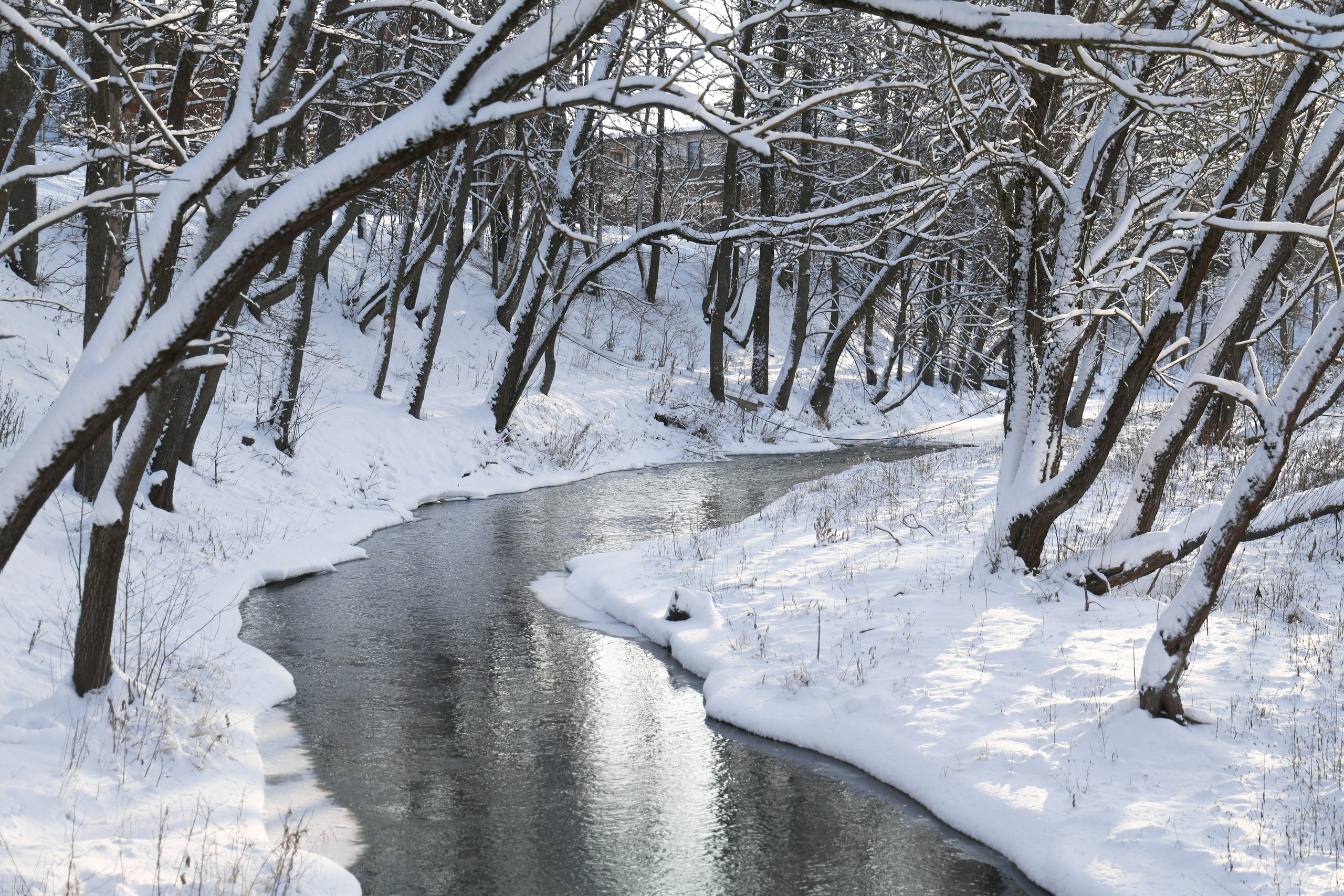 Рождествено Зима 2026. Фотограф Максим Татаринов
