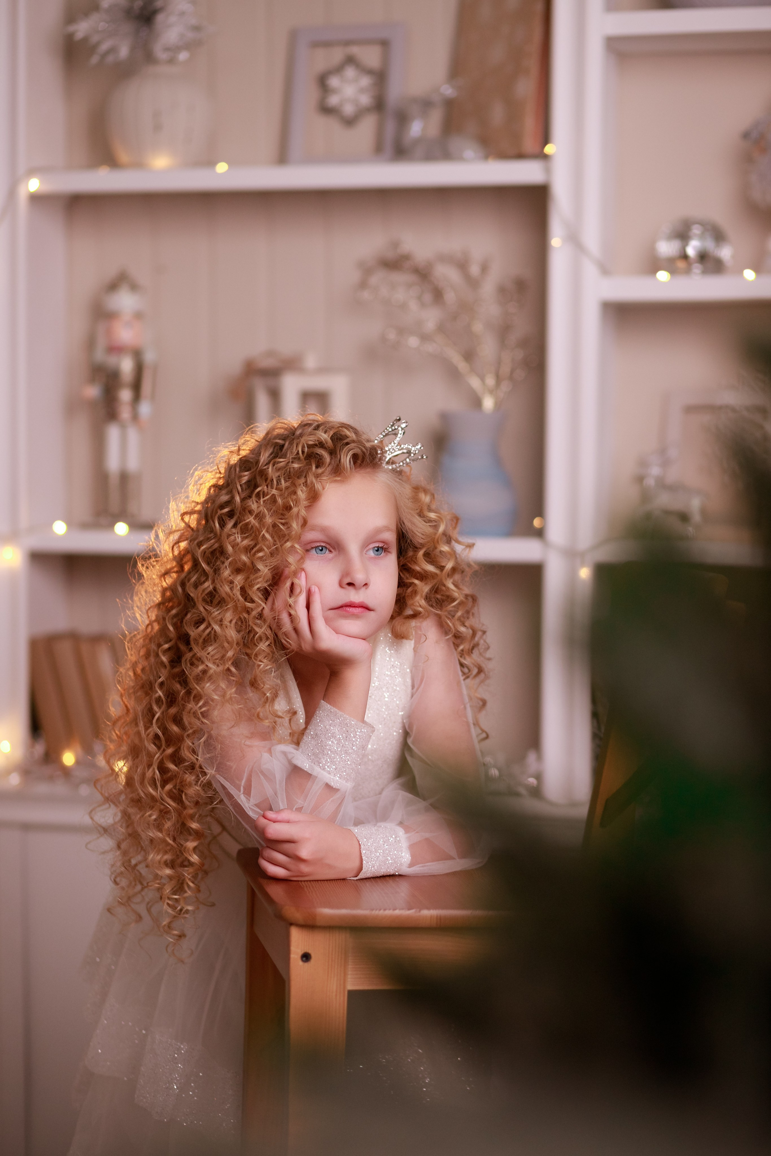 Новый год. Фотограф Кравченко Юлия. Энгельс