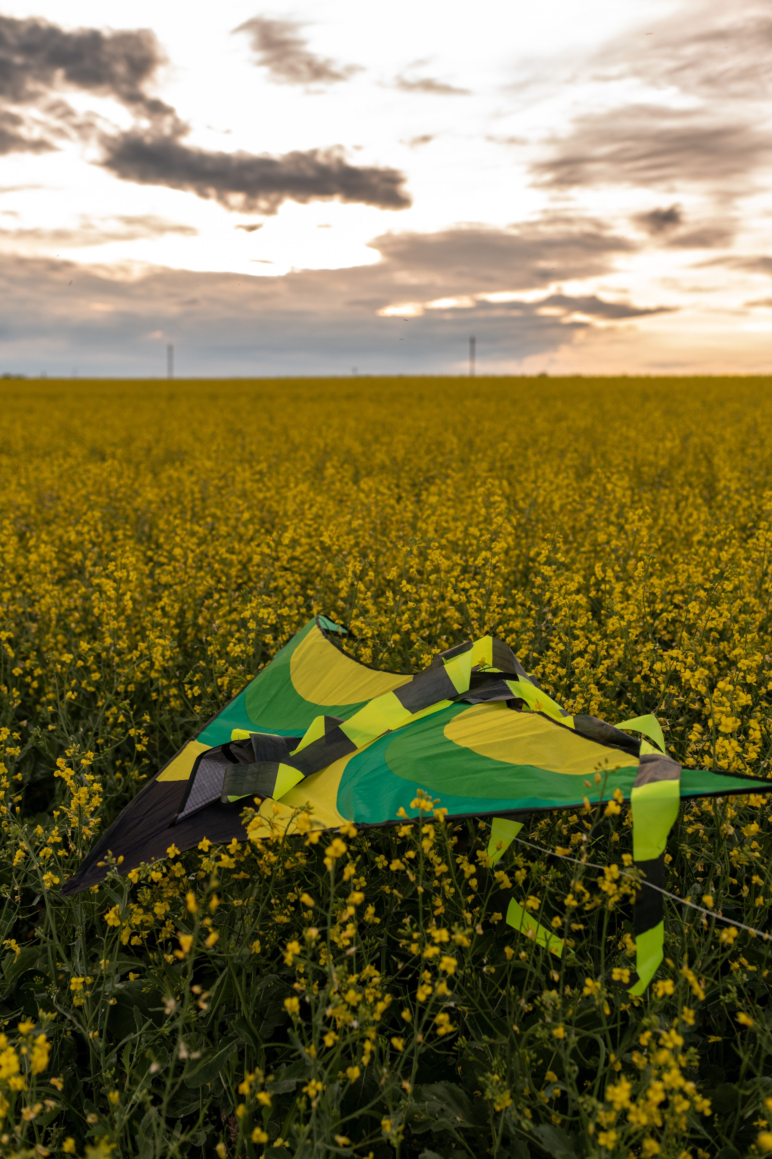 С воздушным змеем. Фотограф в Москве/Зарайске Шахова Марина