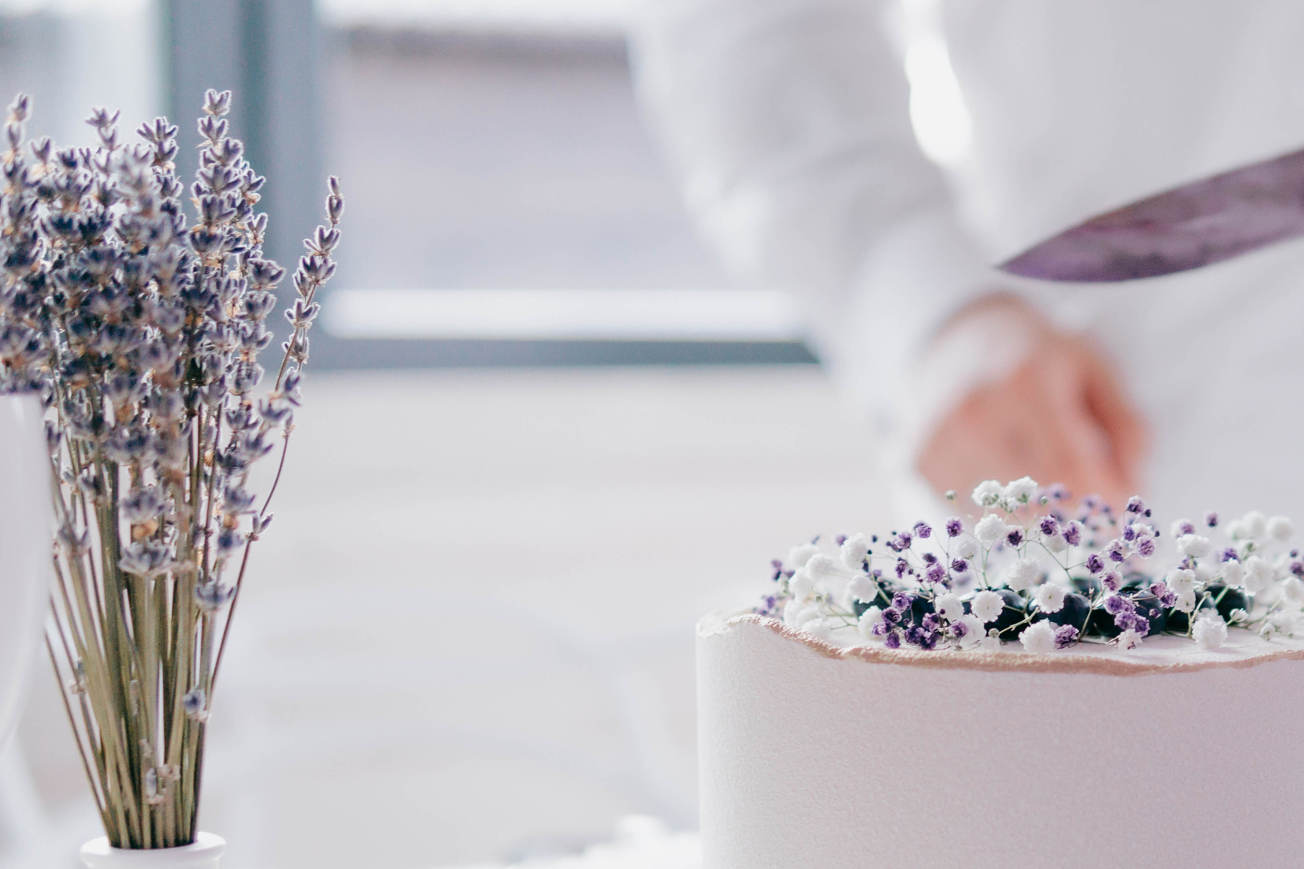 Свадьба Даши и Андрея. Фотограф-анималист Ксения Воробьева, Москва