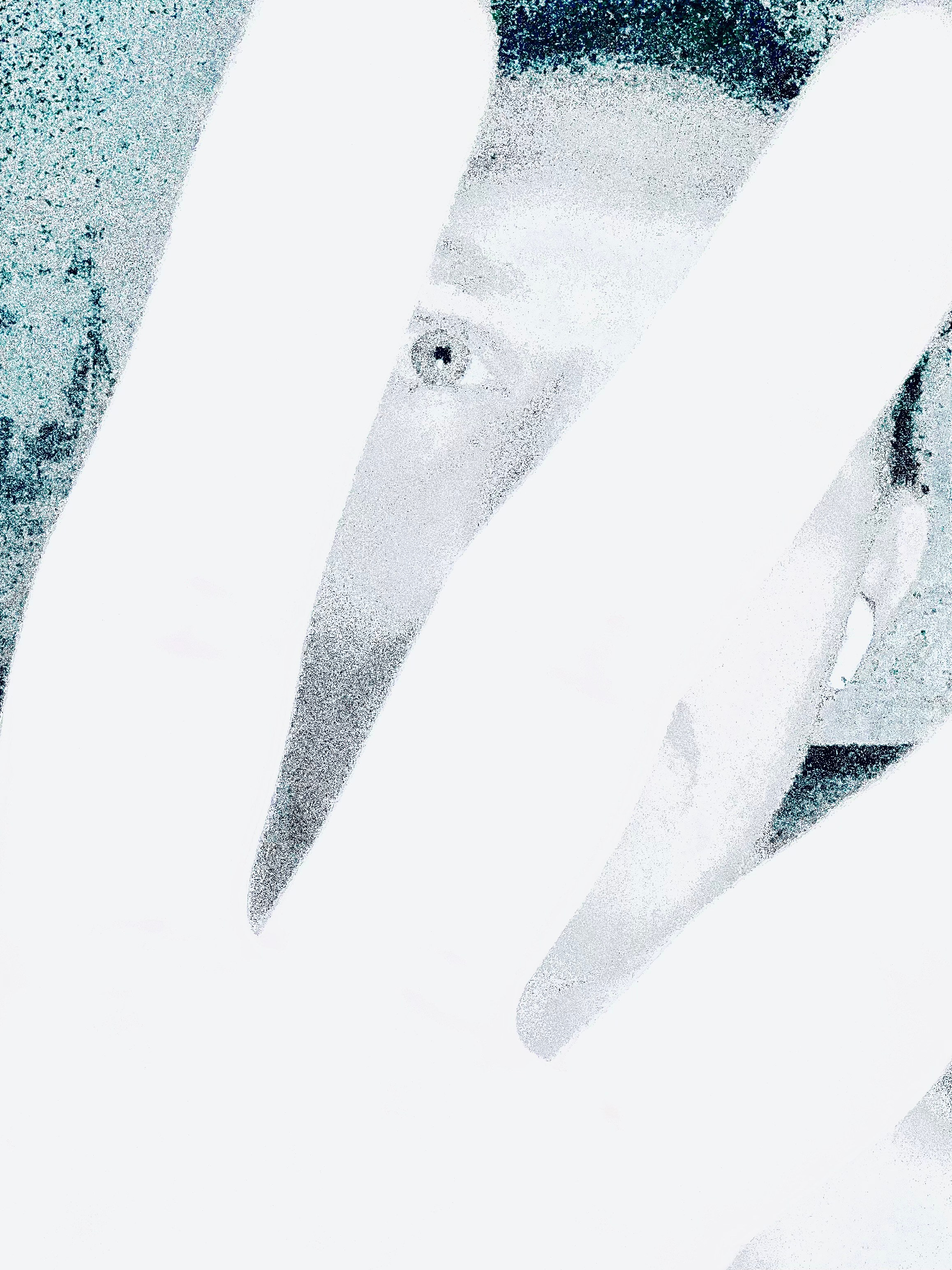 Art. Арт — фотограф Евгений Наймушин Новокузнецк