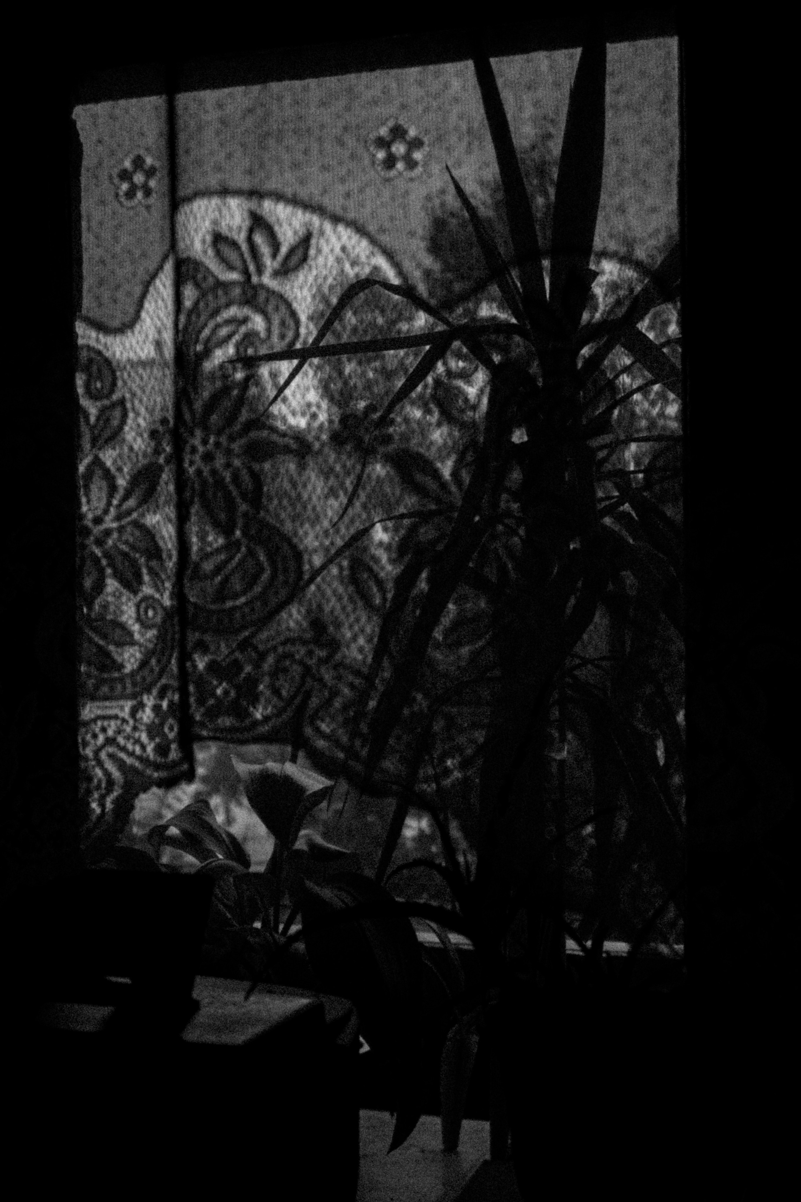 Город Н. Предание о руинах: АРХИВ ПУСТОТЫ