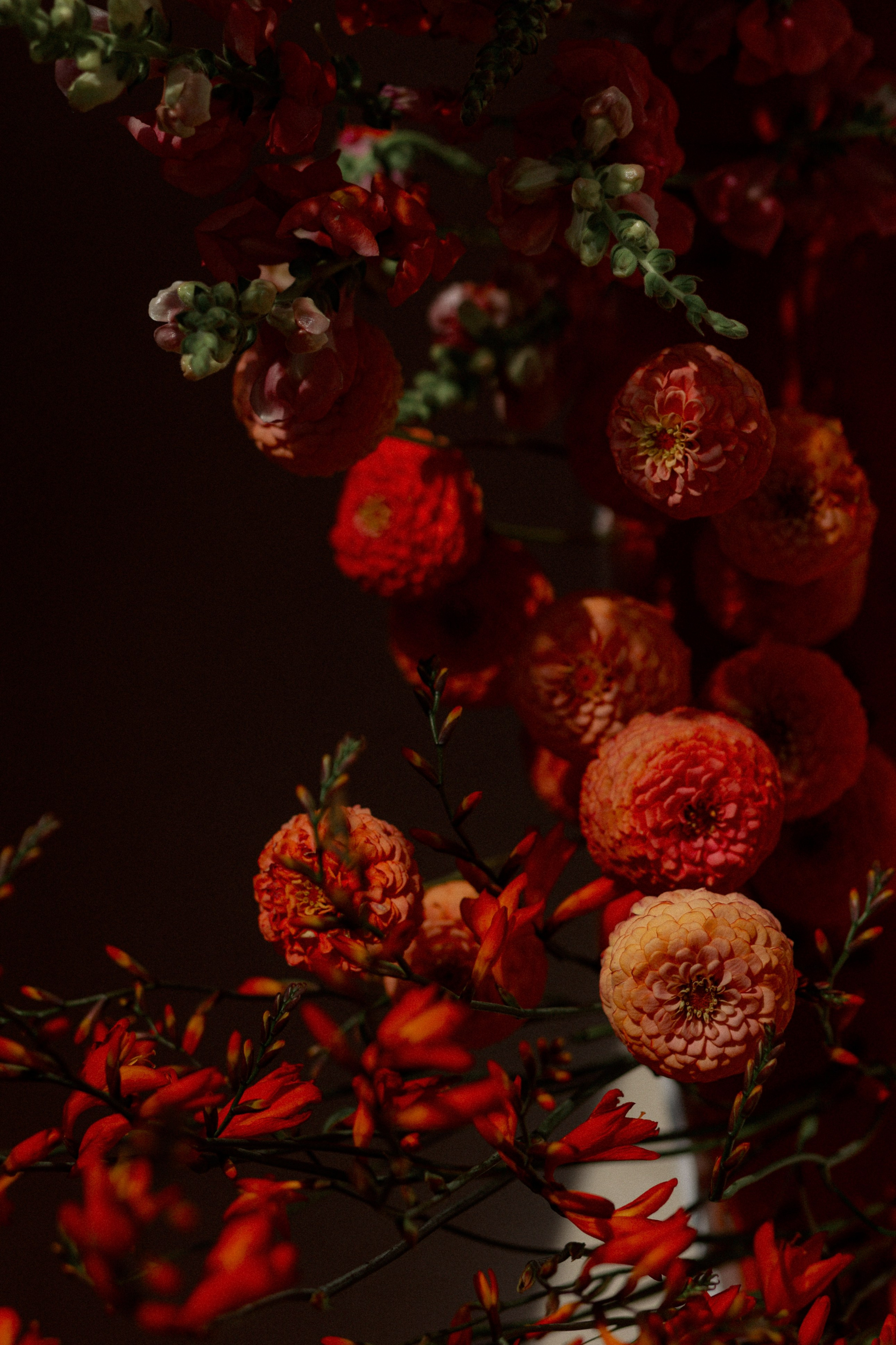 Рождение Венеры. Фотограф Serj Ganso