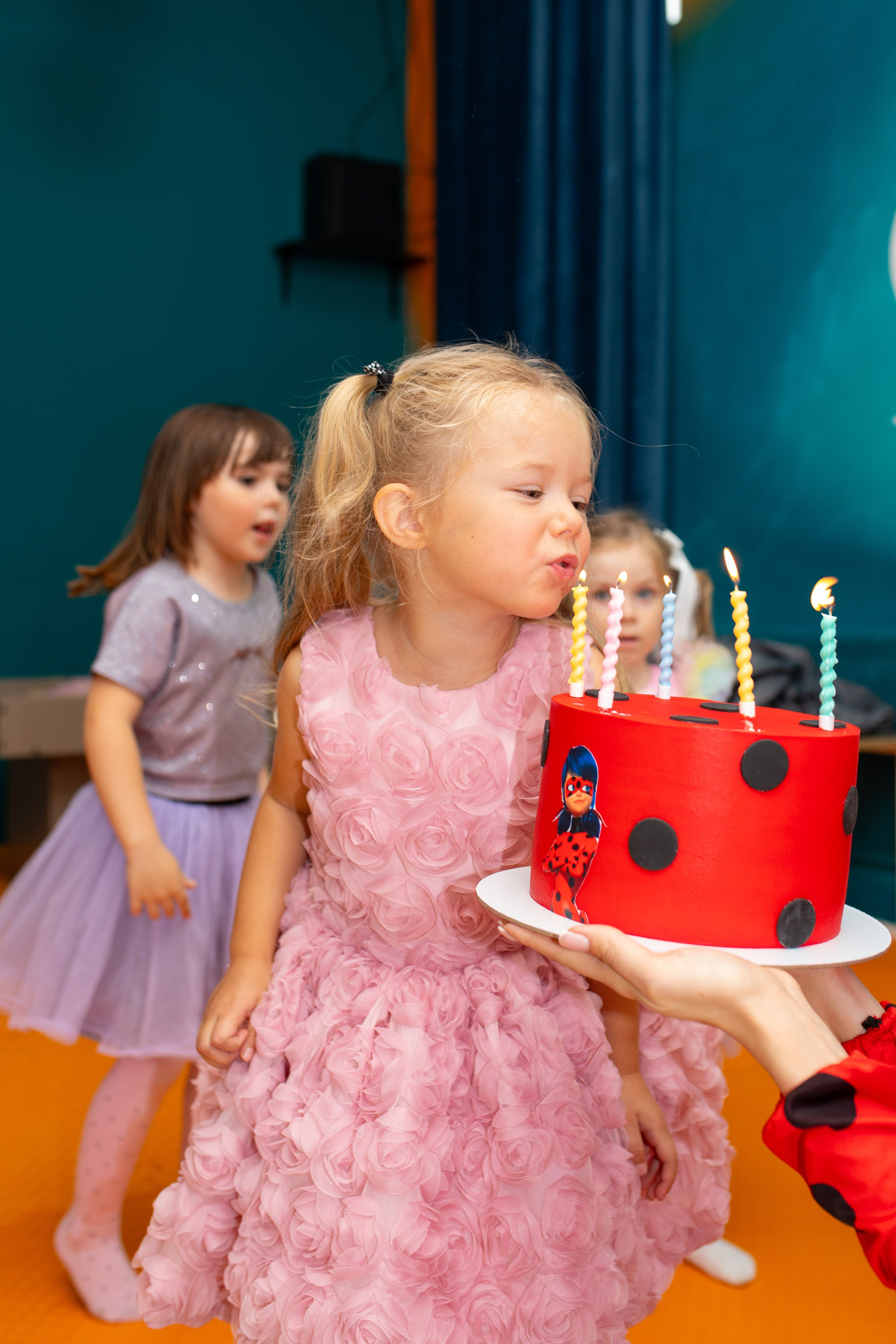 Стрекоза. Фотограф в Новосибирске Ася Зверева