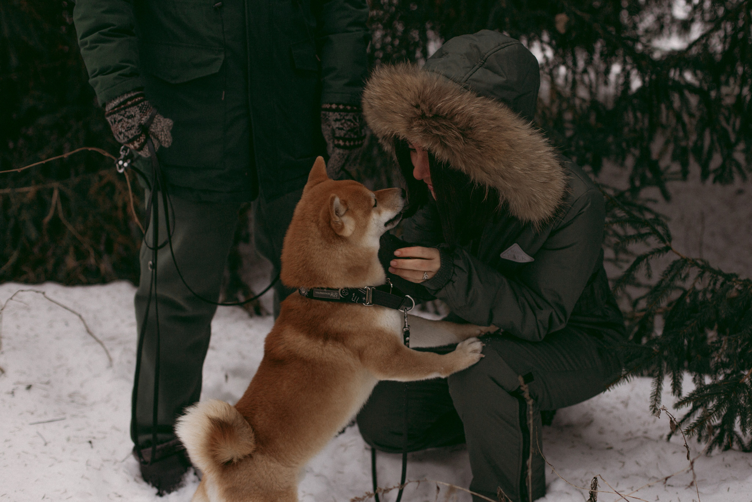 Katya, Dima, Rokki. Portrait, family and pet photographer in Cyprus, Ksenia Bourdelle