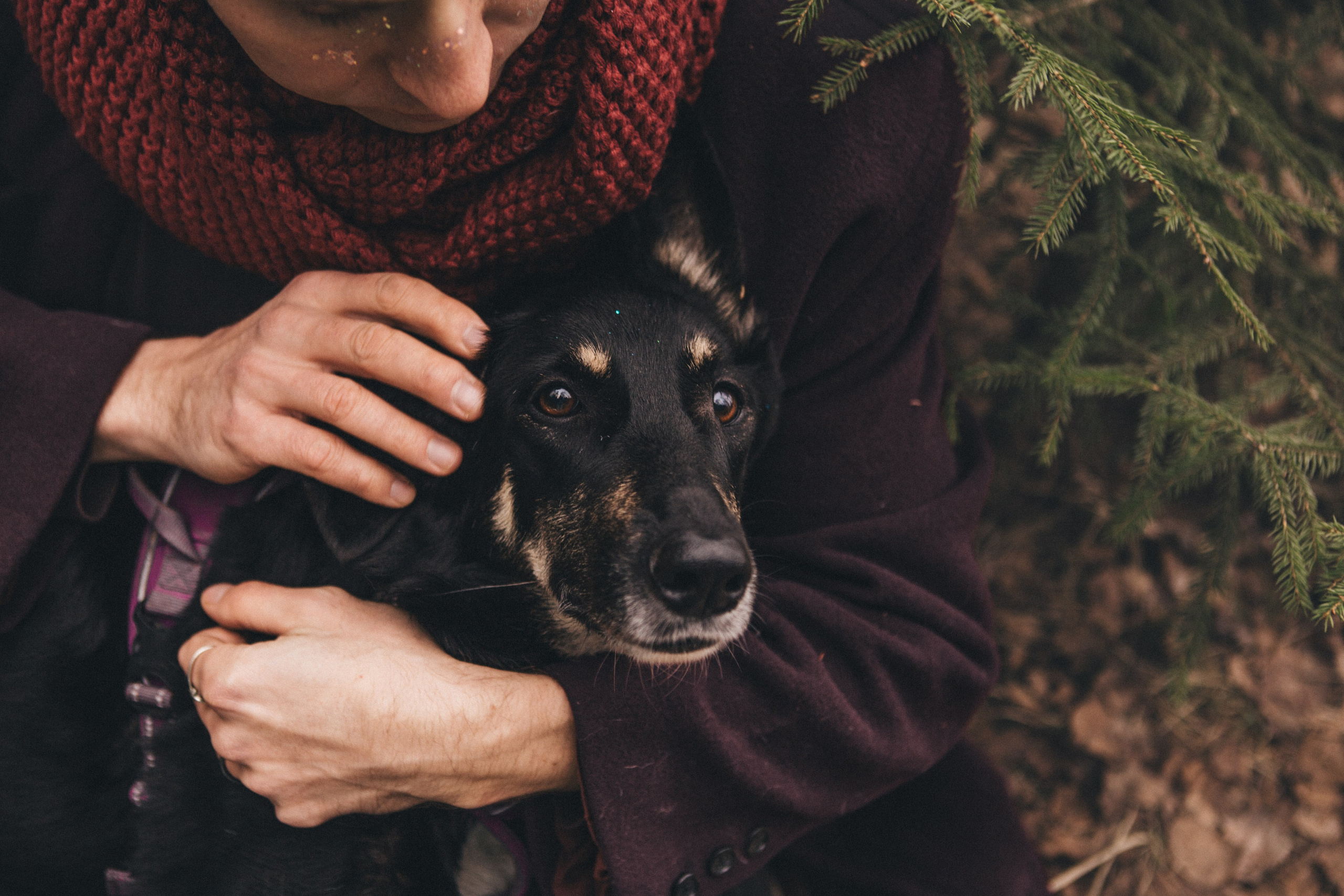A cinematic tale of true love and unbreakable friendship between a man and a dog. Portrait, family and pet photographer in Cyprus, Ksenia Bourdelle
