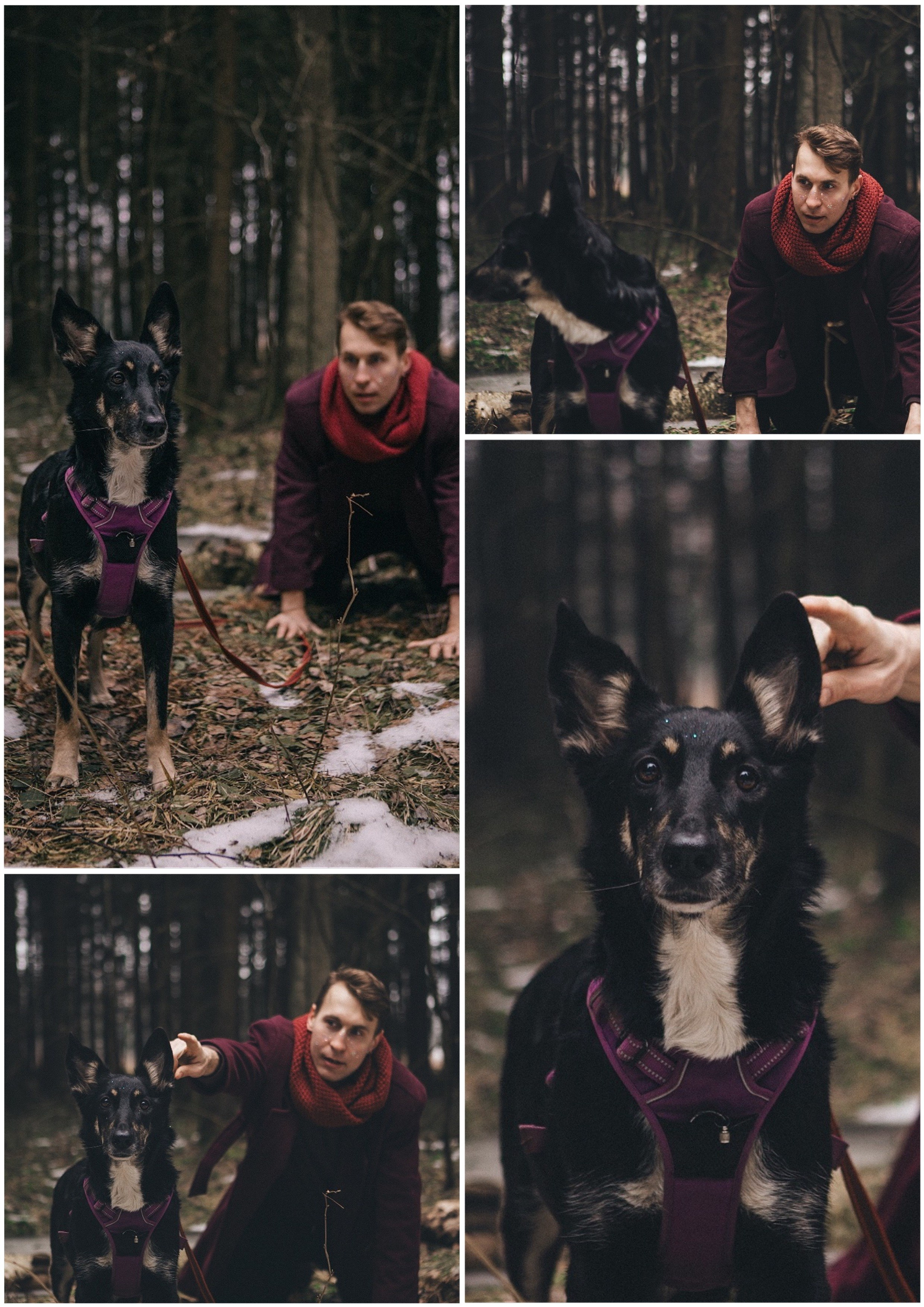 A cinematic tale of true love and unbreakable friendship between a man and a dog. Portrait, family and pet photographer in Cyprus, Ksenia Bourdelle