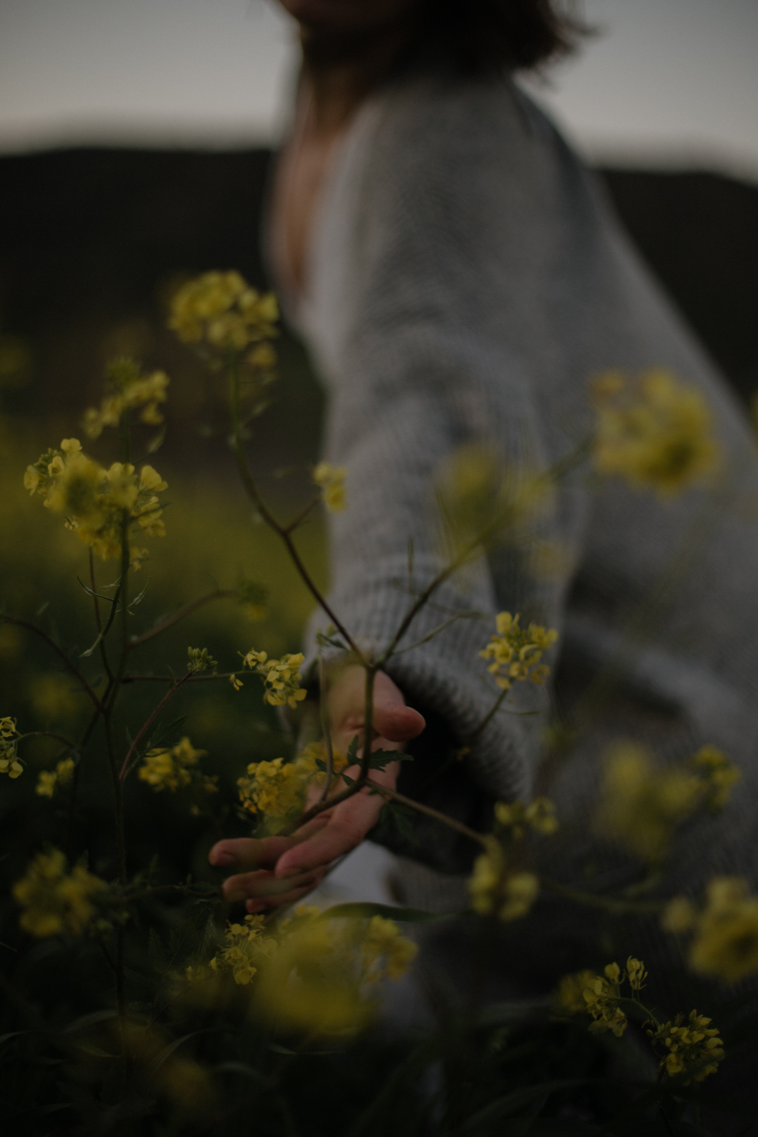 Veta. Portrait, family and pet photographer in Cyprus, Ksenia Bourdelle