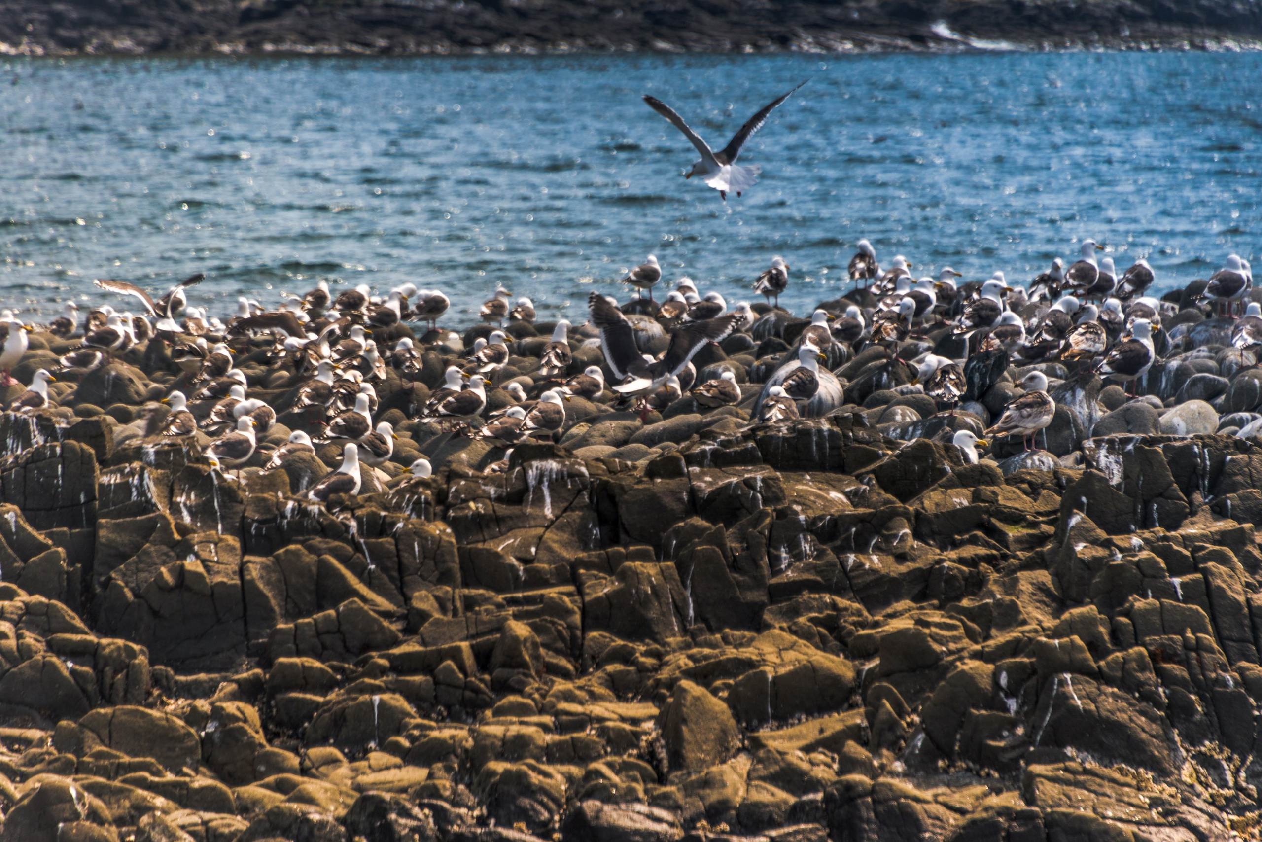 Качматка. Фотограф Лара Кучина