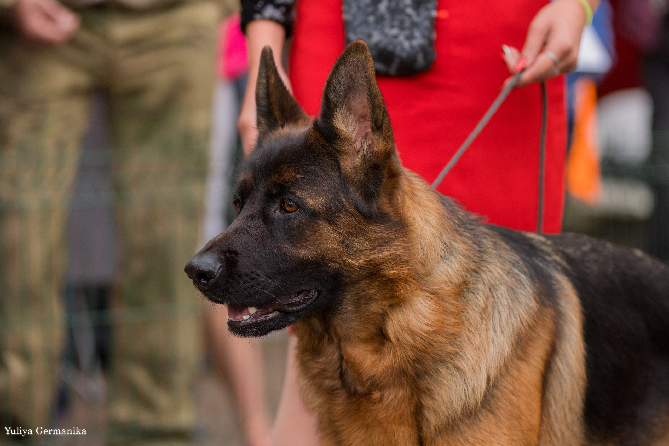 Бишкек 29.09-01.10.2023. Фотограф-анималист Юлия Германика