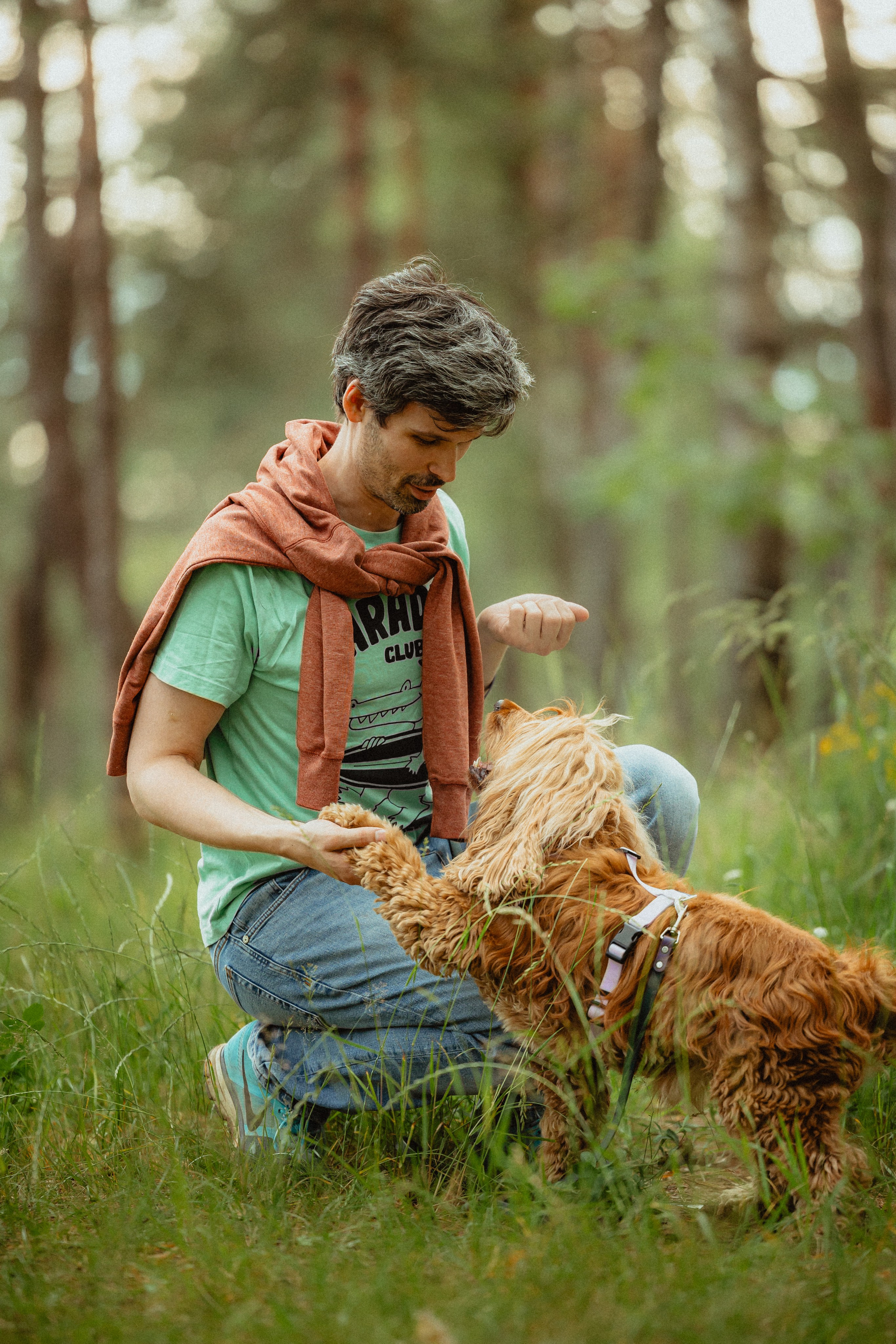 Выездной дог-тренинг от школы «Шерсть имею»