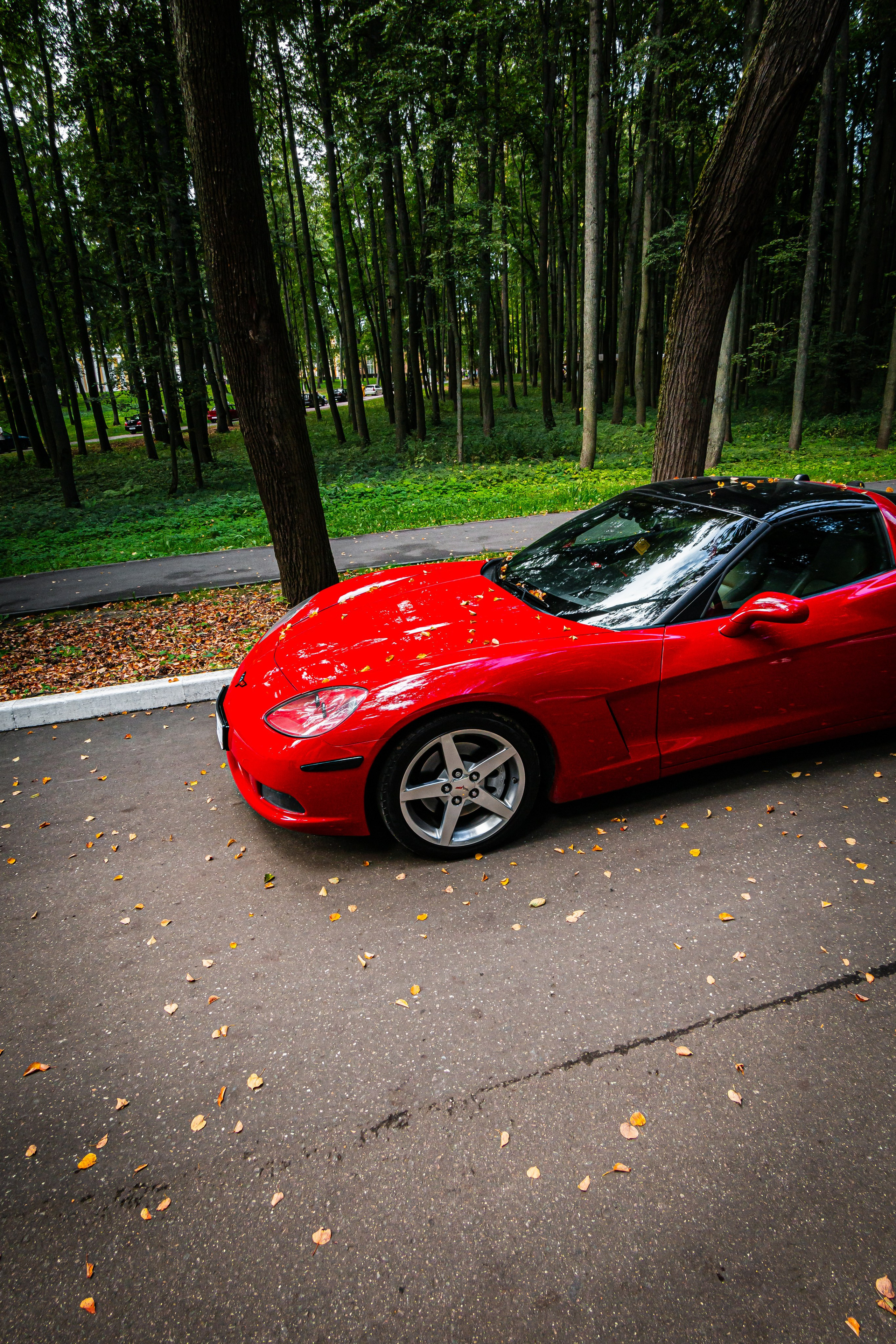 Автовыходные. Фотограф Илья Варакин