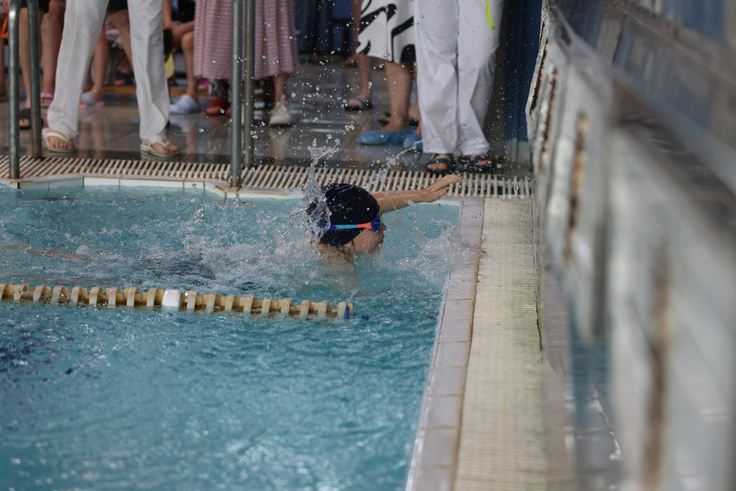 Веселый дельфин. Плавание. Дети 8-9 лет. Фотограф Александр Заломаев