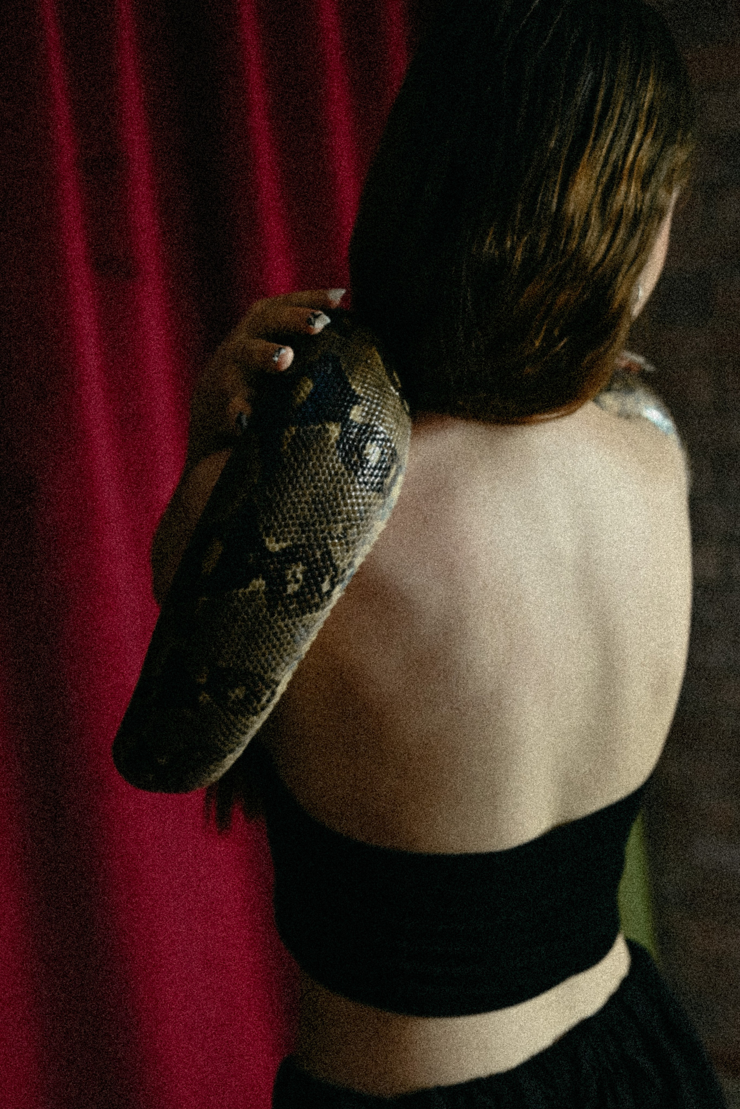 Немного Нового года. Ваш фотограф