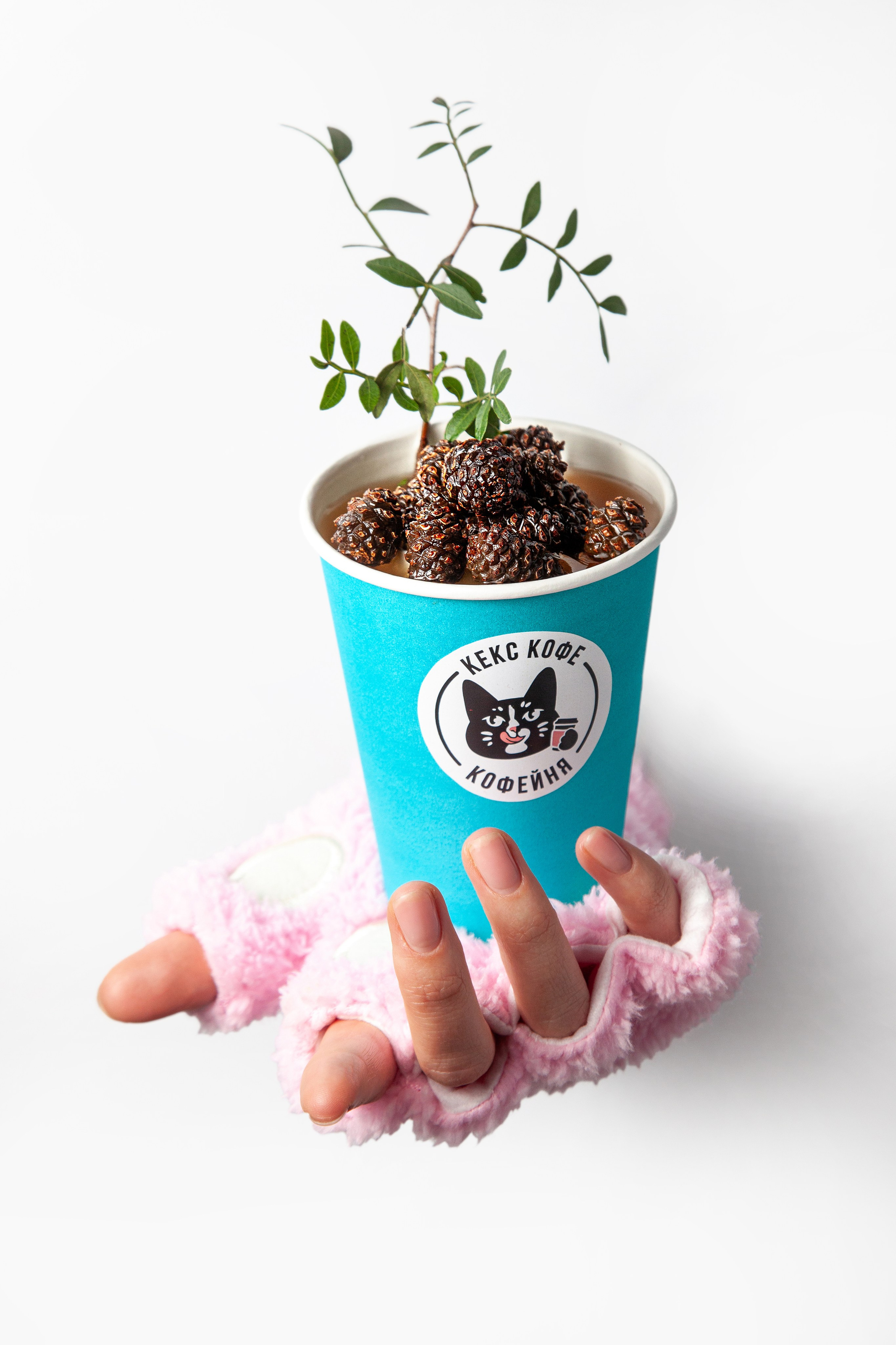 Съемка меню в Москве. Фотограф в Москве Максим Быков