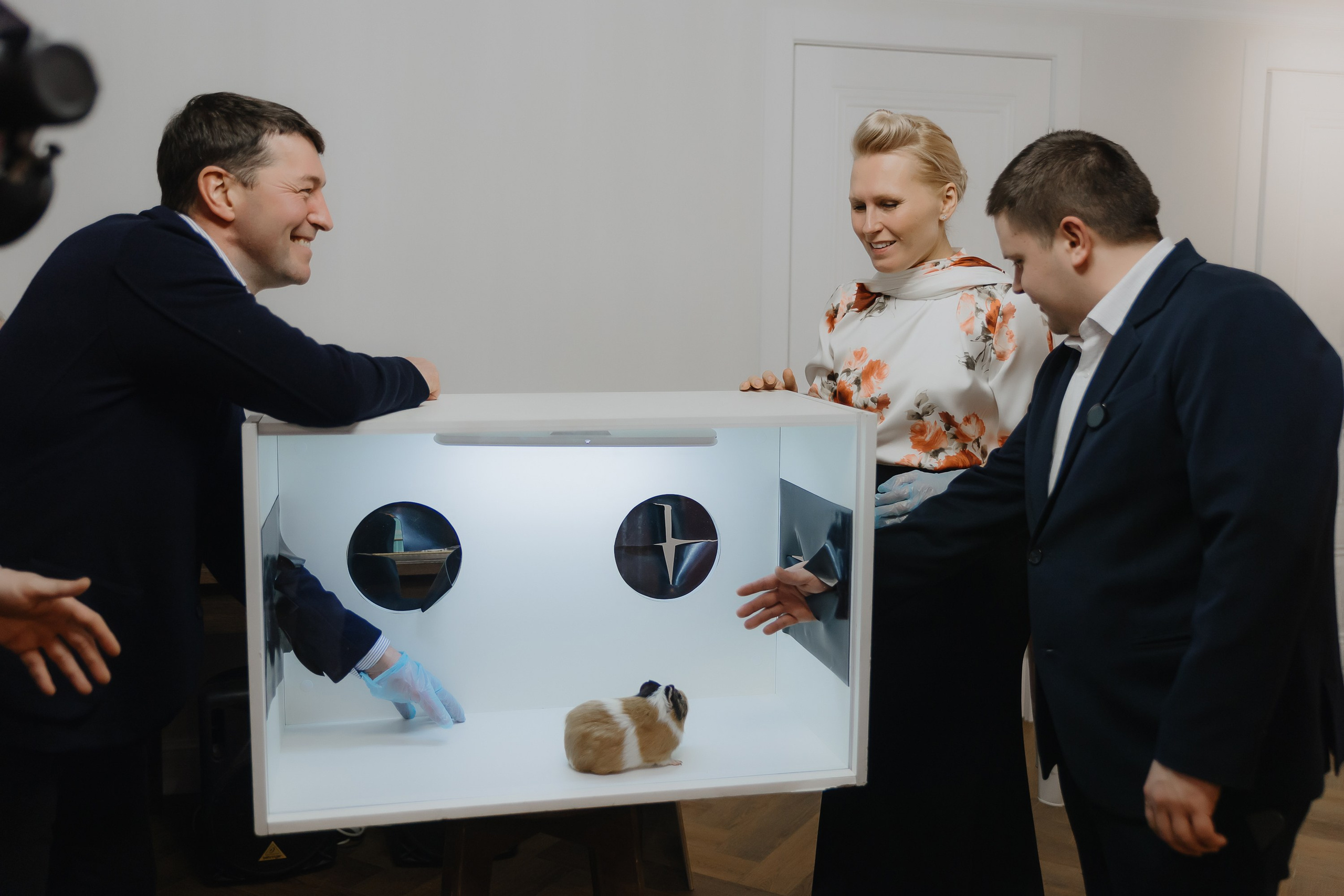 Открытие нового пространства интерьерного салона L. DECO в феврале 2025. L. Deco интерьерный салон. Краски/обои/лепной декор