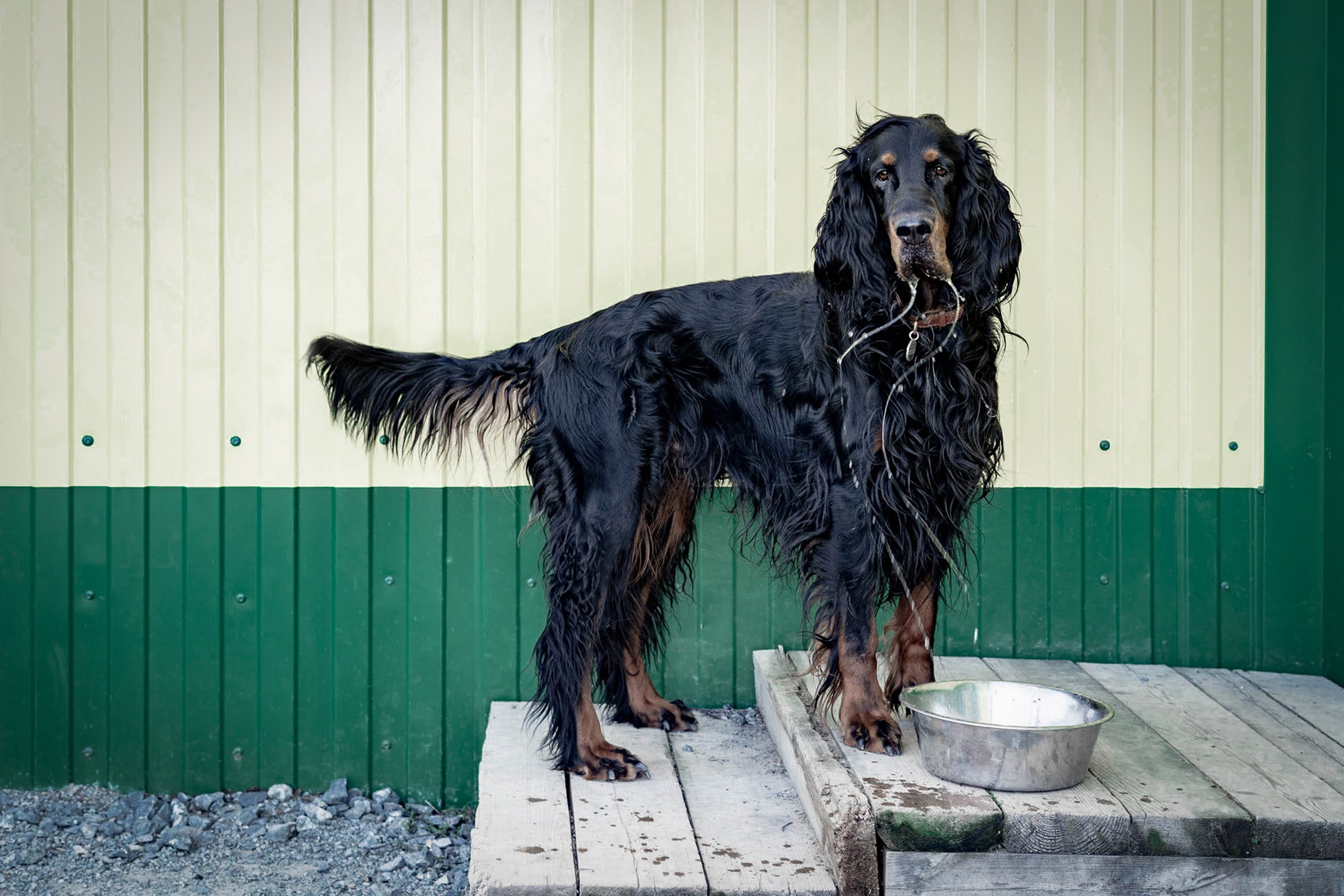 Гостиница. Фотограф Екатерина Зорина