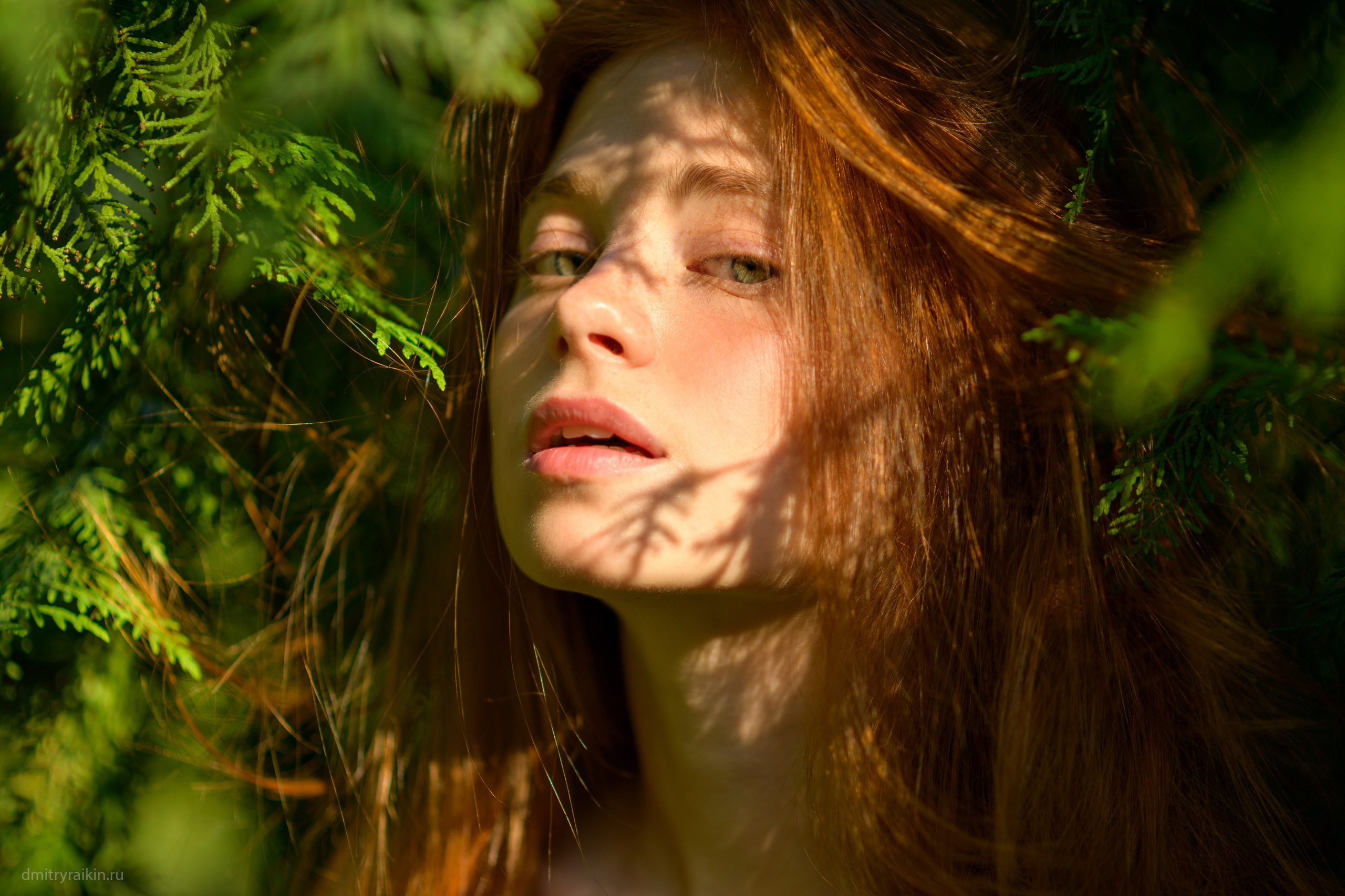 Диана. Персональный сайт фотографа Дмитрия Райкина