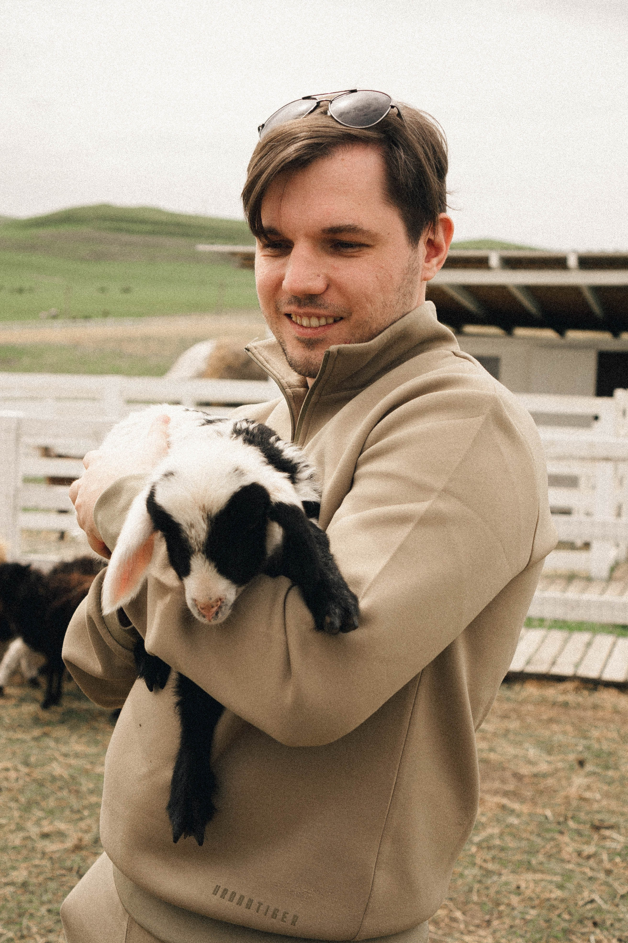 Ферма Альпак. Профессиональный фотограф, Санкт-Петербург — Виктория Богомолова