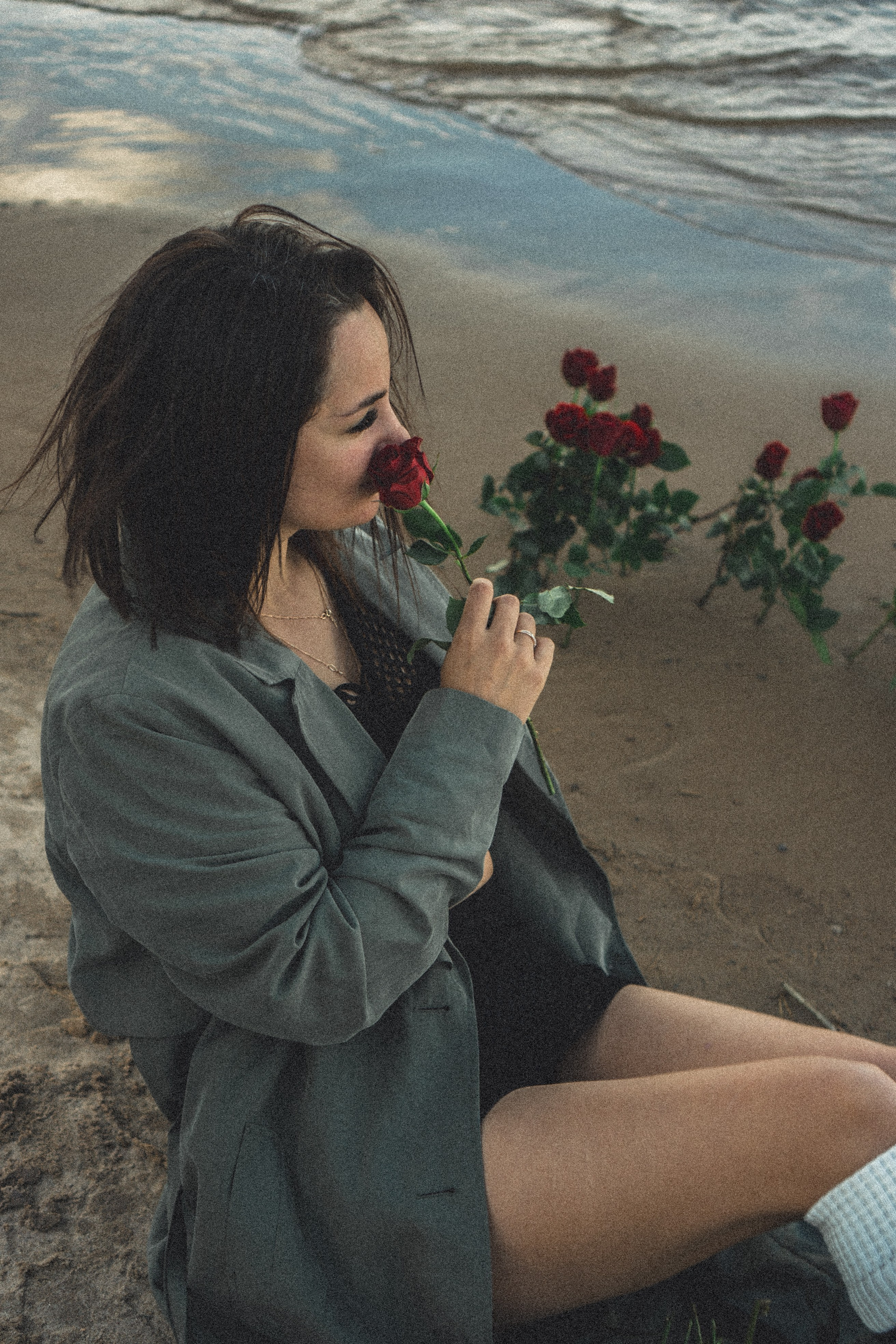 Розы. Профессиональный фотограф, Санкт-Петербург — Виктория Богомолова