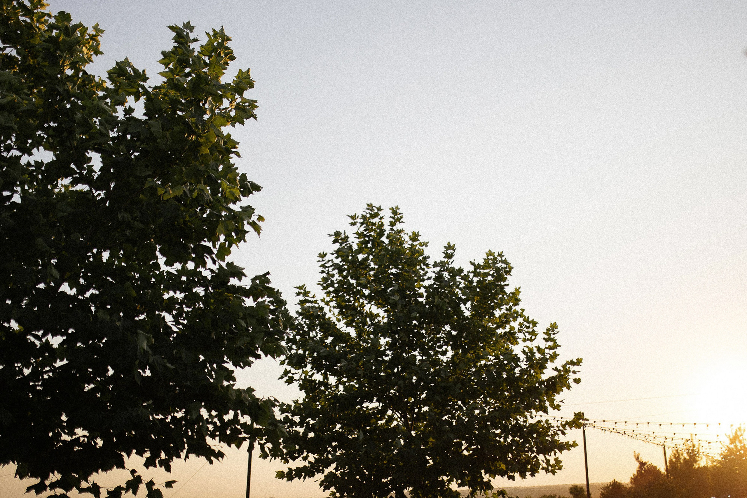 Побеждает любовь (Винодельня Пестиковых). Свадебный фотограф Ольга Ермакович