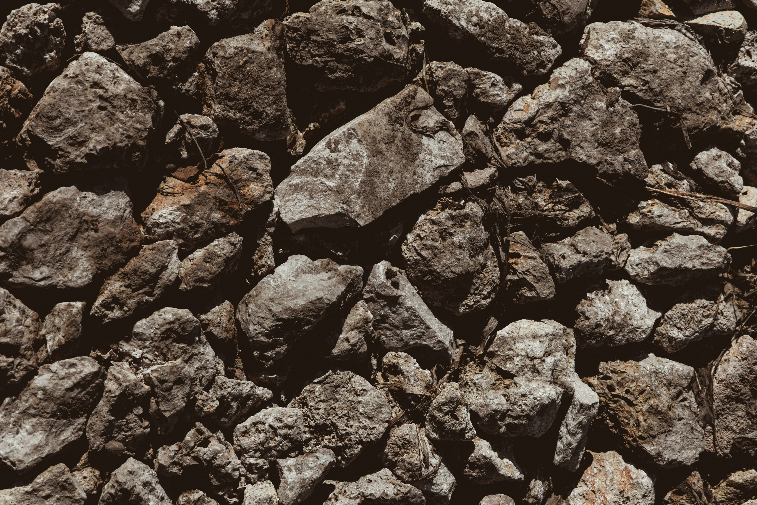 Природа деревни. Фотограф Эльмира Лин