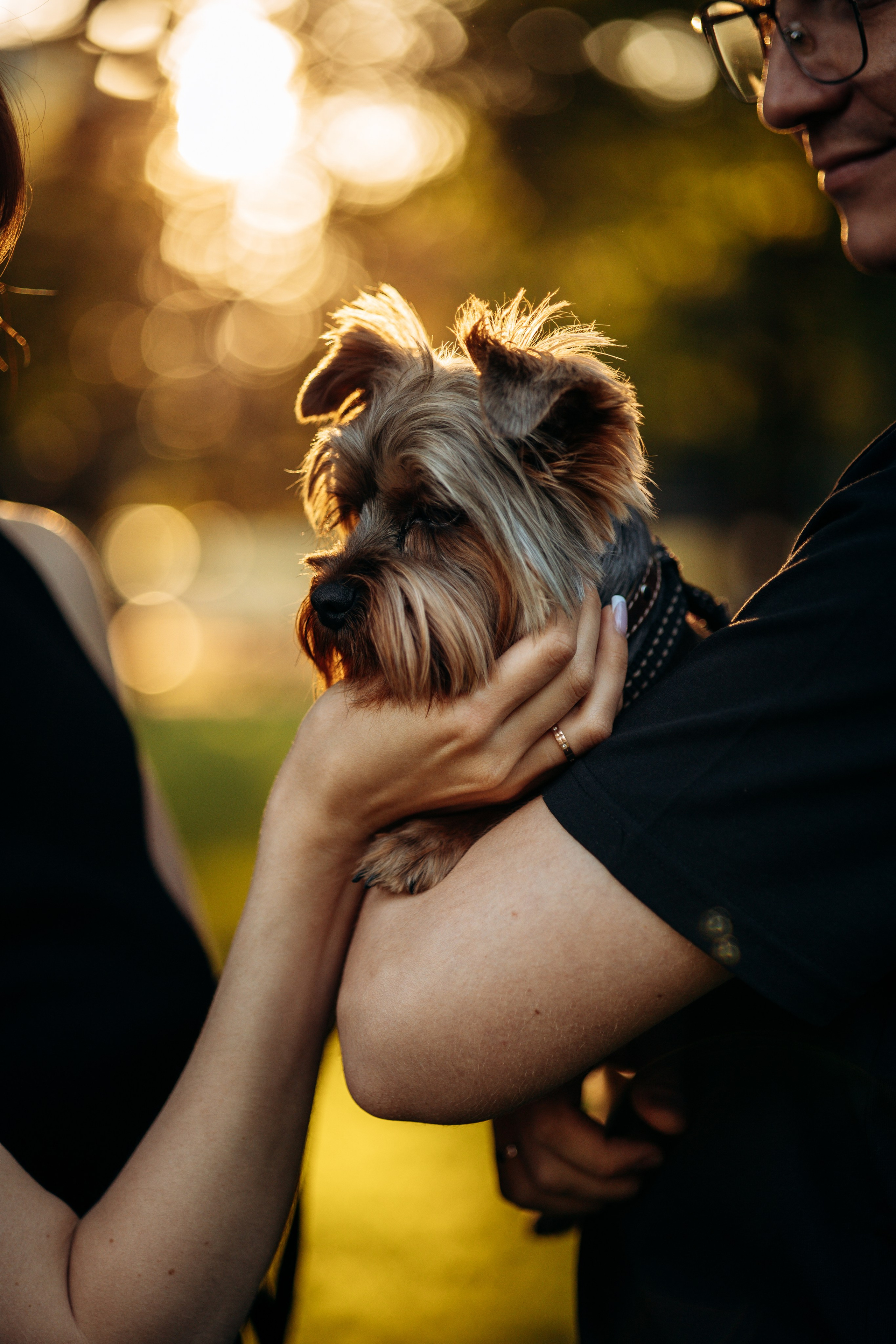 Филя и его семья. Фотограф — Анималист | Санкт-Петербург