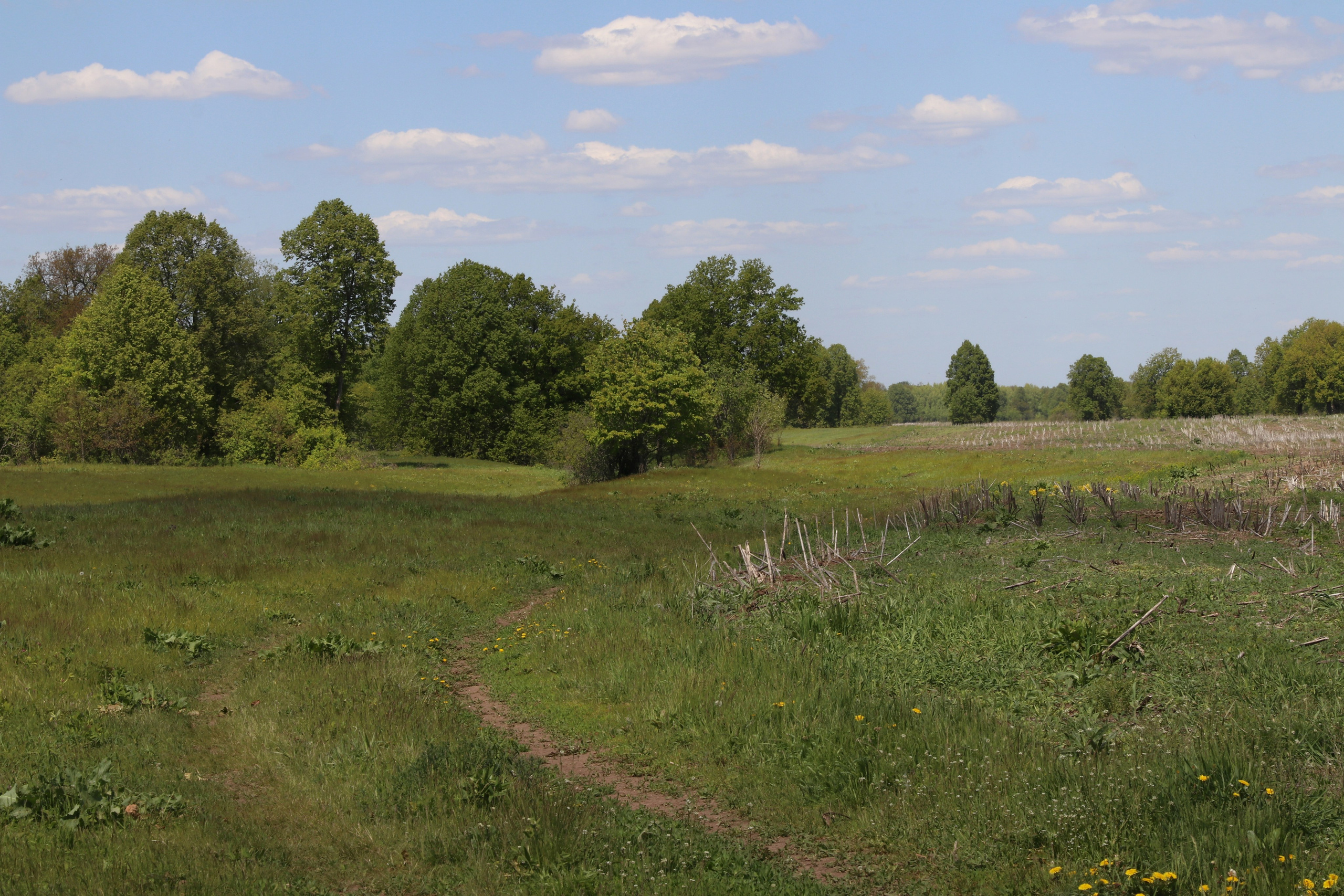 Велопоход Уфа — Мелеуз. Май 2024. Путешественник-фотограф из Санкт-Петербурга Татьяна Свистулина