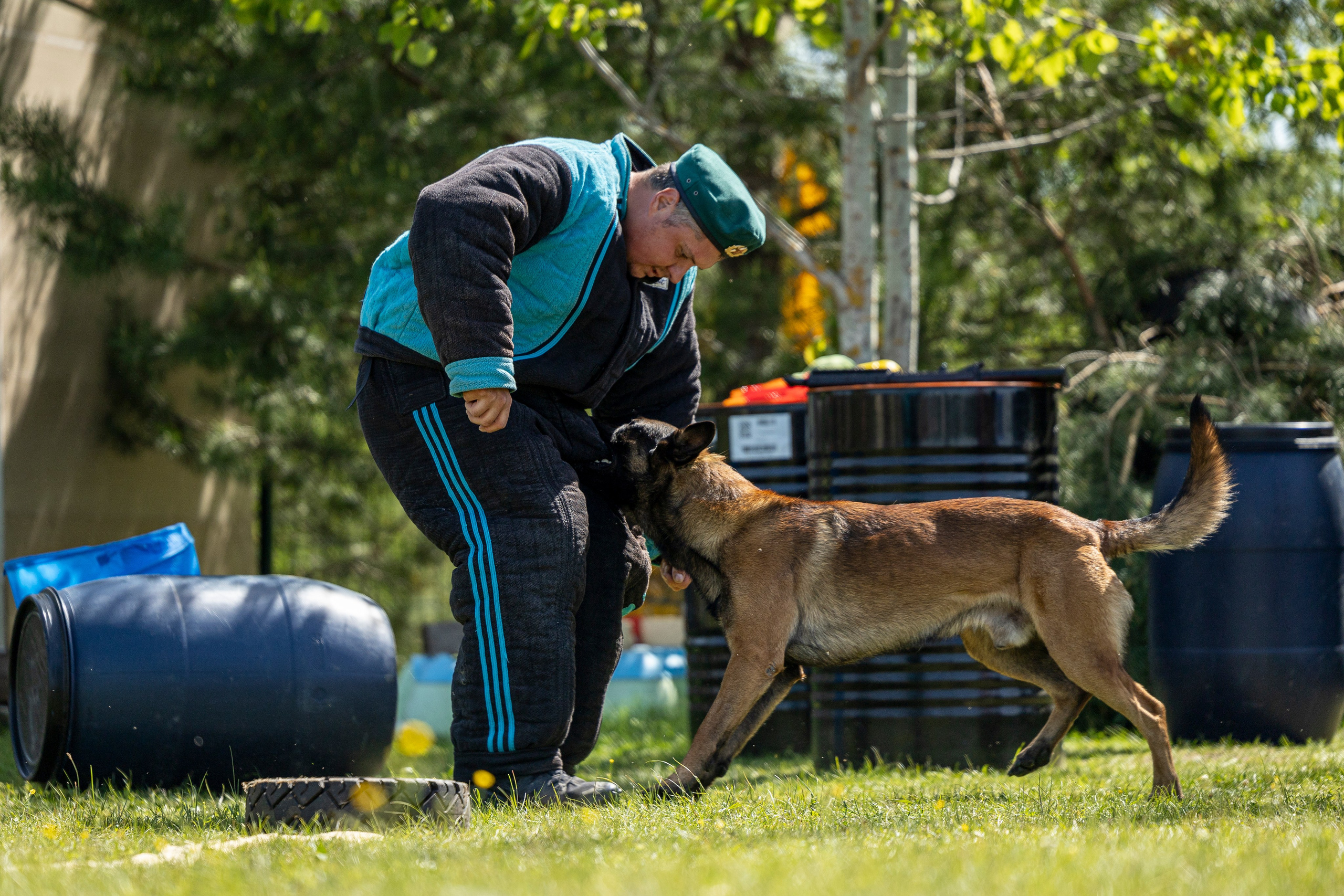 Испытания по мондьорингу в Нижнем Новгороде. Фотограф-анималист Анна Маринич