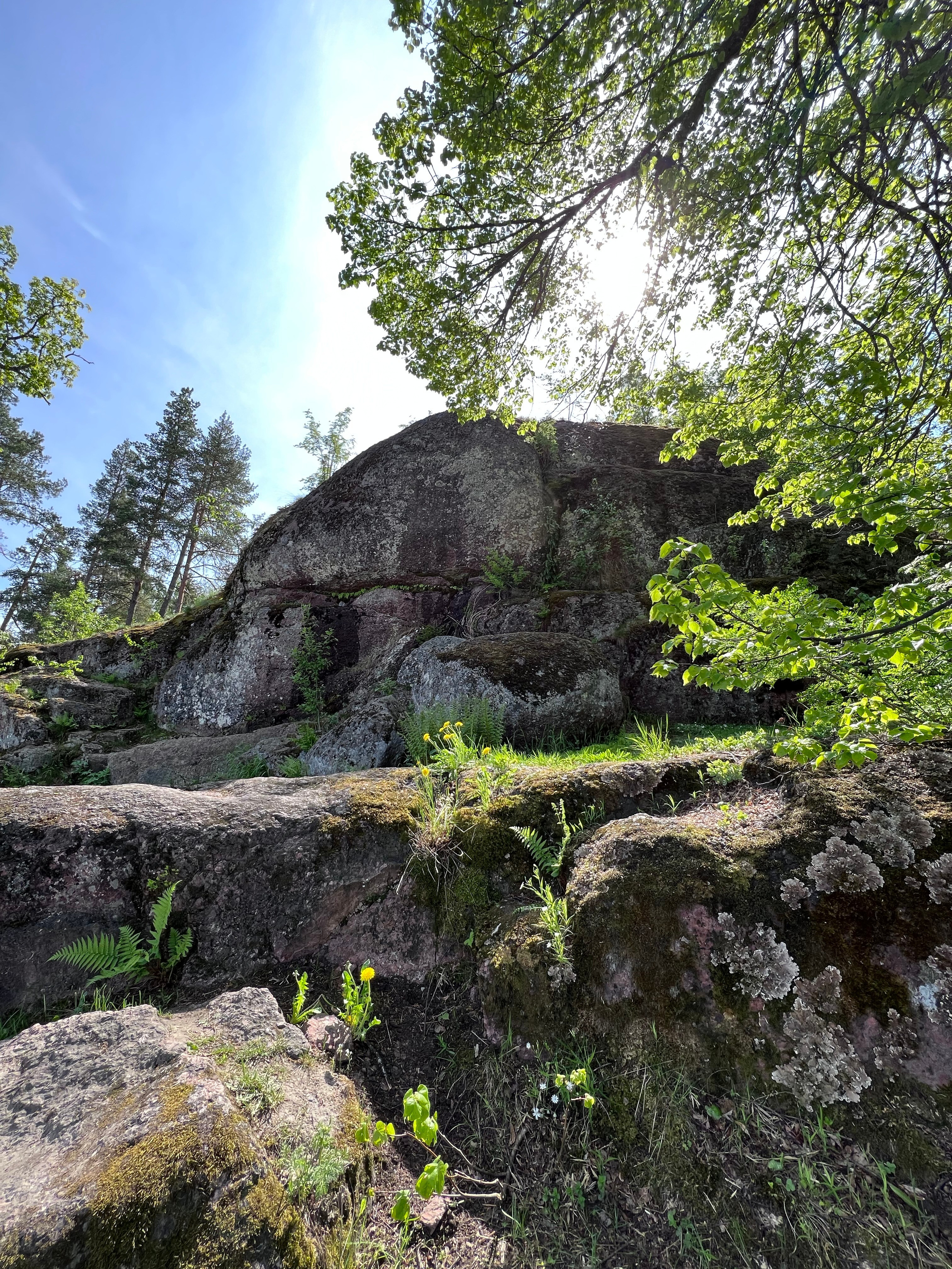 Питер и Выборг. Путешествия со смыслом