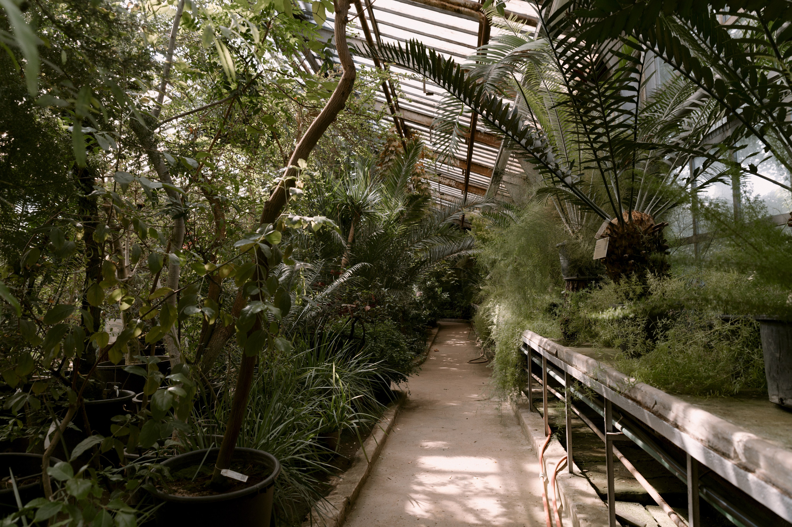 Катя + Вадим. Свадебный фотограф в Тамбове Валерий Тихов