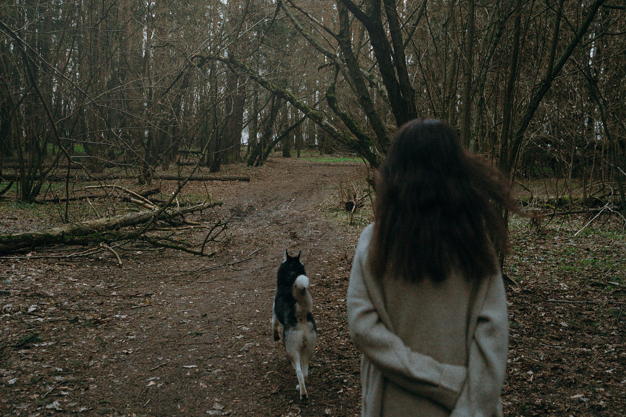 Наташа и Сириус. Фотограф анималист в Москве и Санкт-Петербурге Свиридова Анна