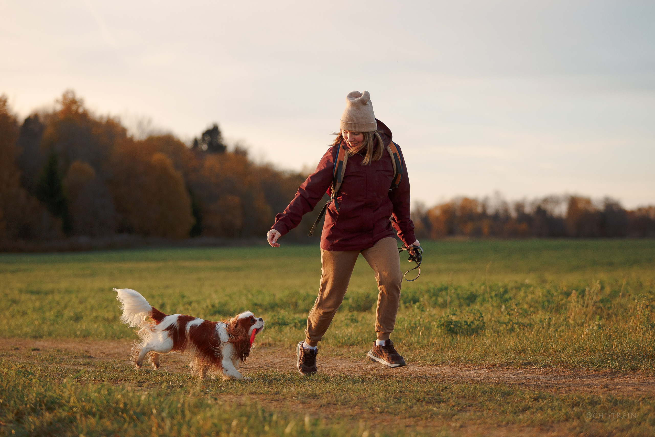 Октябрьский закат в полях. Алина и Лео. Фотограф-анималист Наталия Чистюхина в г. Сосновый Бор и ЛО