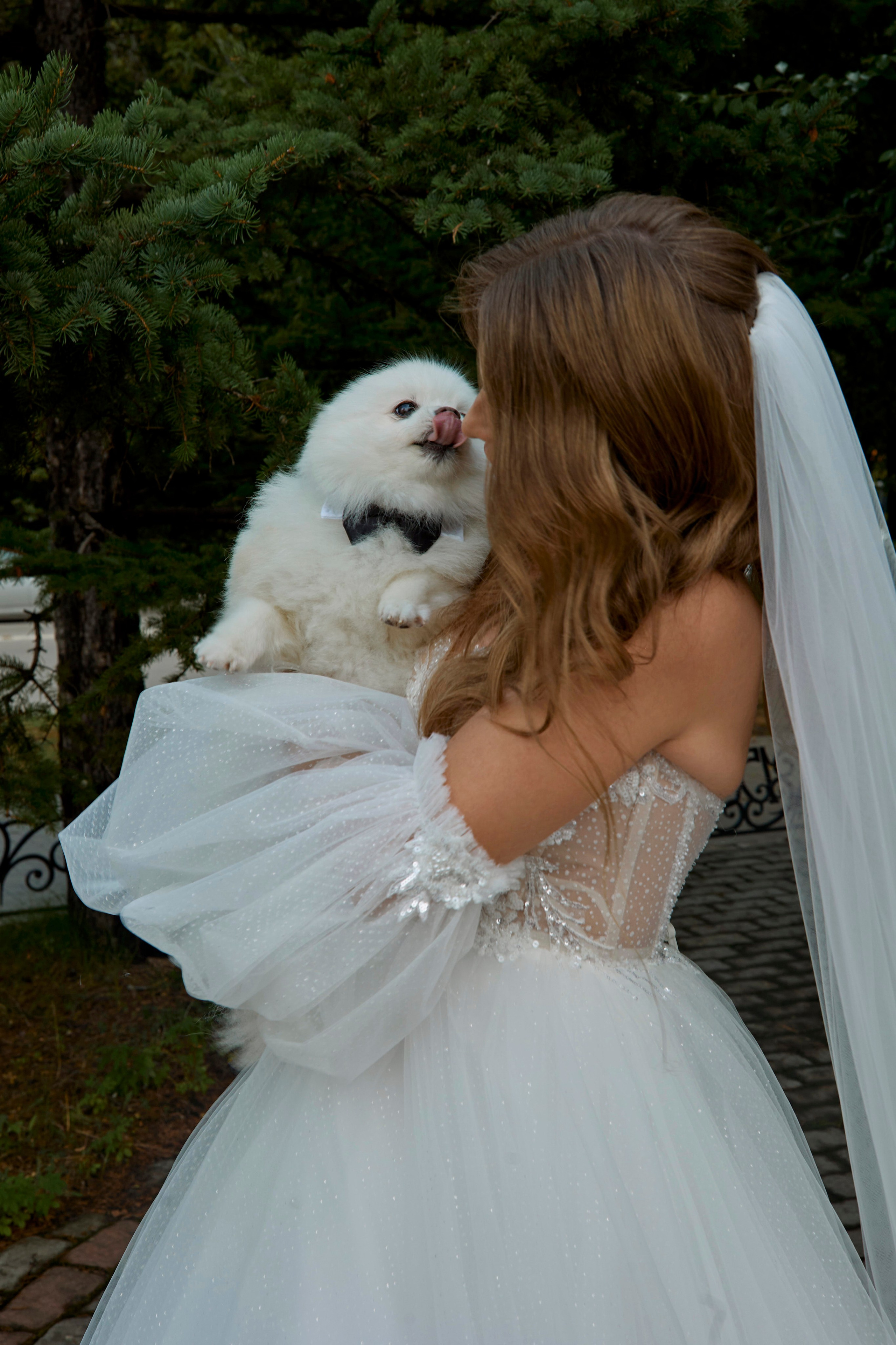 Юлия & Роман. Фотограф