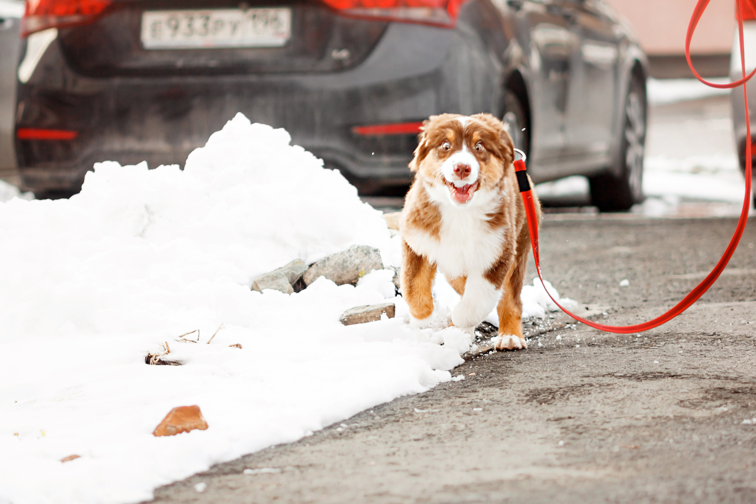 Аксель. Семейный фотограф в Екатеринбурге