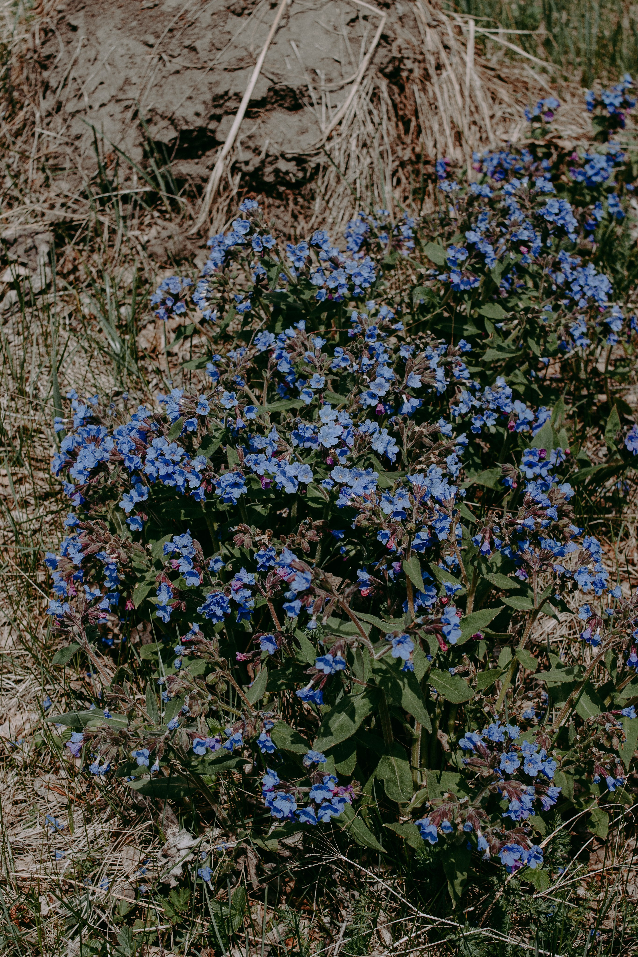 Ретрит на Байкале / Школа Ведических знаний SoVA / 7 дней, 2023. Борщевская Елизавета / фотограф Иркутск