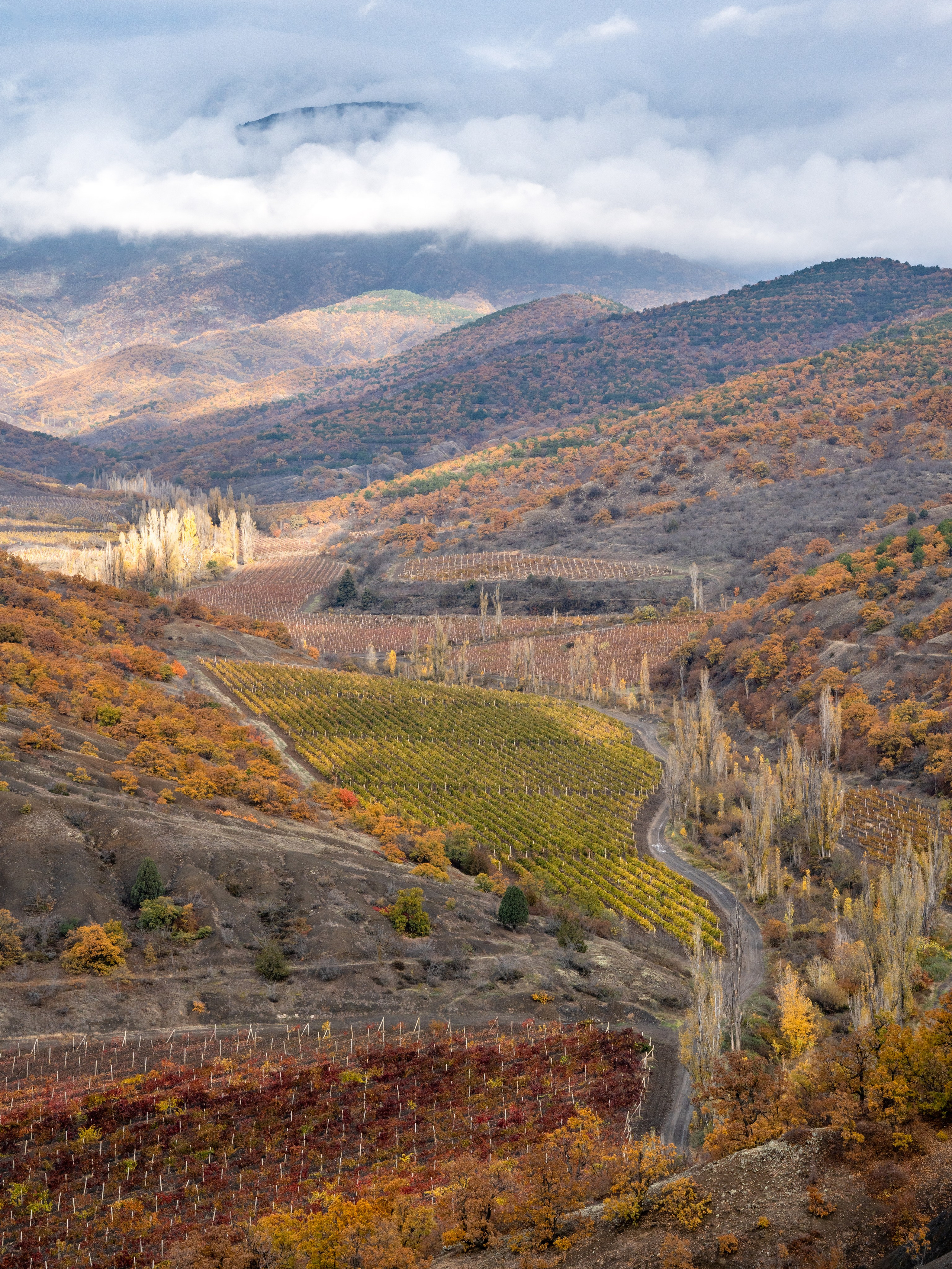 Пейзаж от Ольги Пановой. Интерьерный и архитектурный фотограф в Москве Панова Ольга