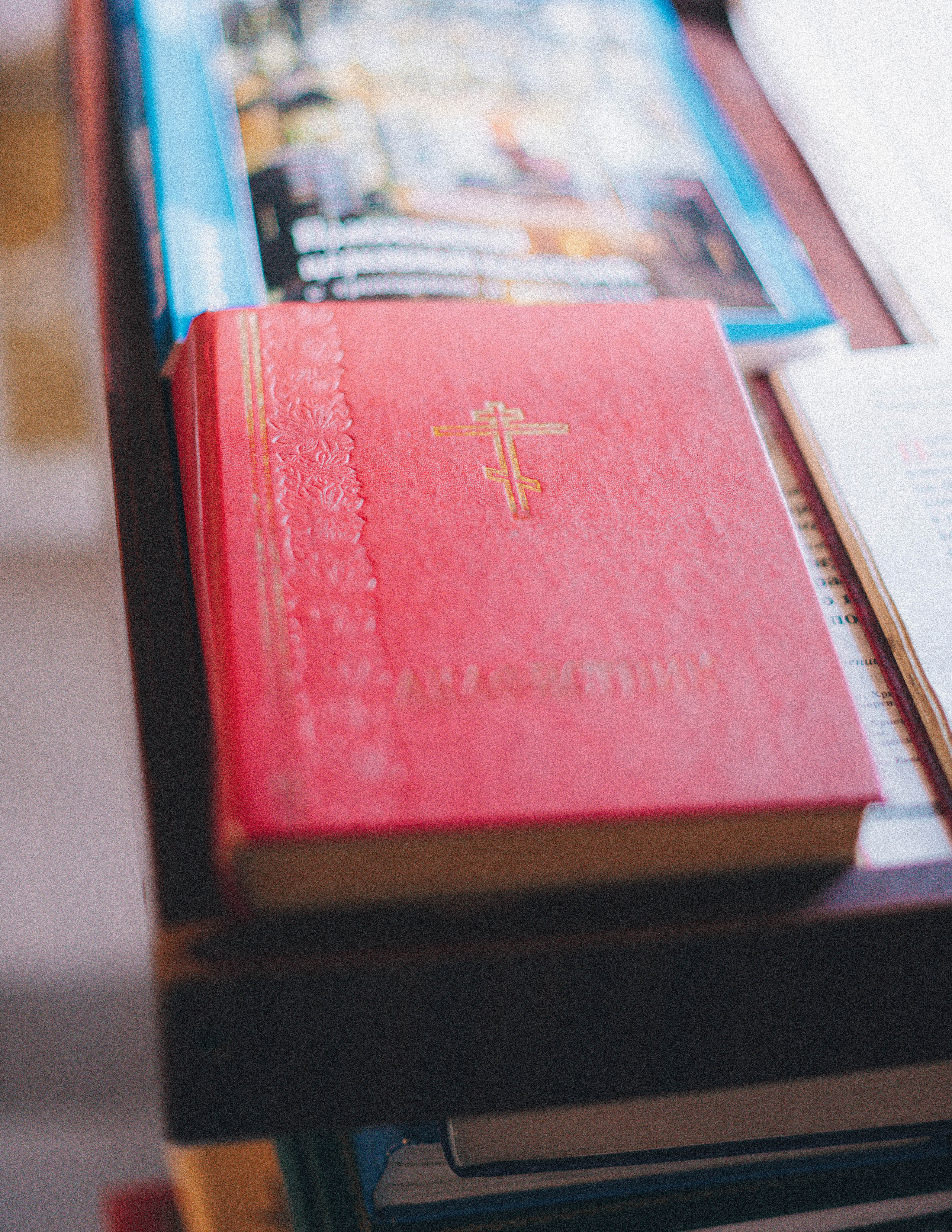 Алиса. Семейный фотограф в Санкт-Петербурге Ира Ревчук