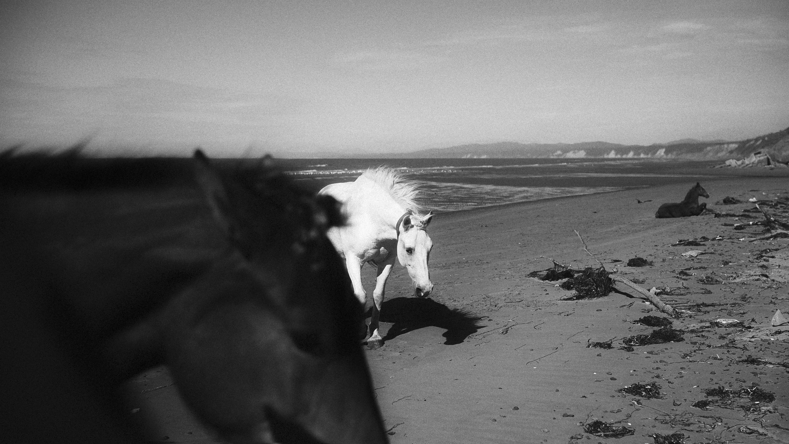 Сахалин | Север