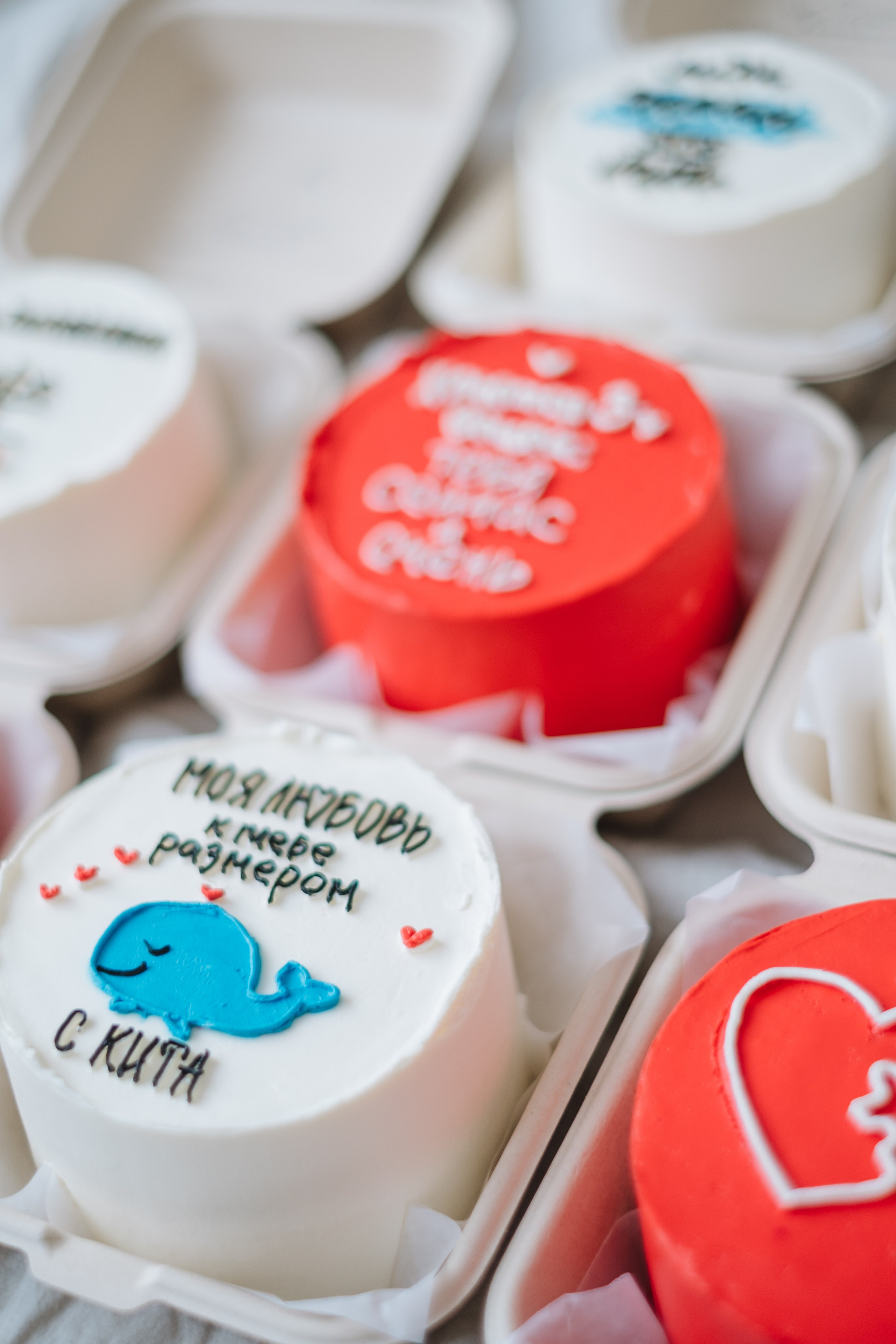 Таня. Фотограф в Санкт-Петербурге Мария Комолитдинова