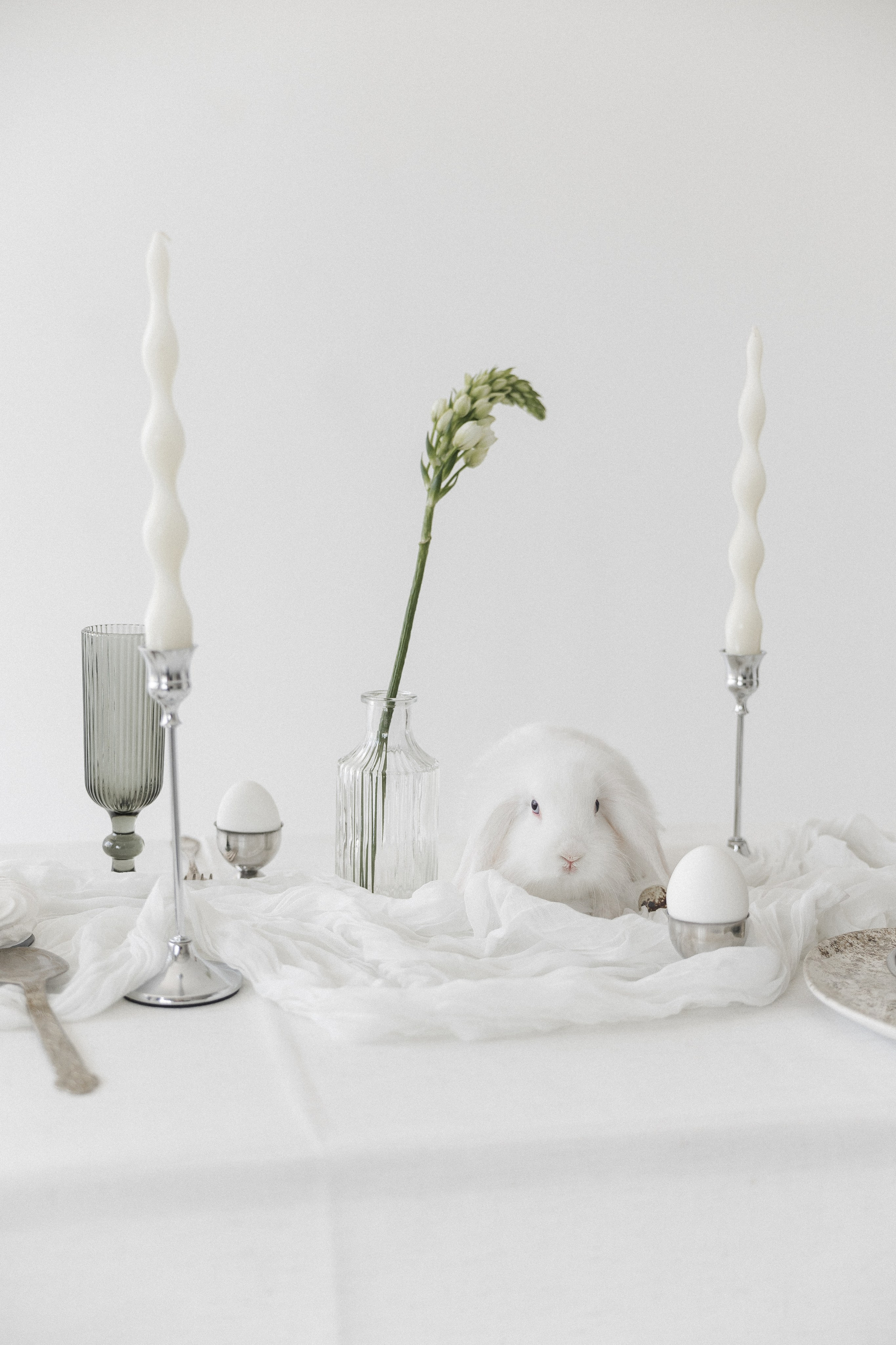 Творческая съемка к Пасхе с кроликом. Главная