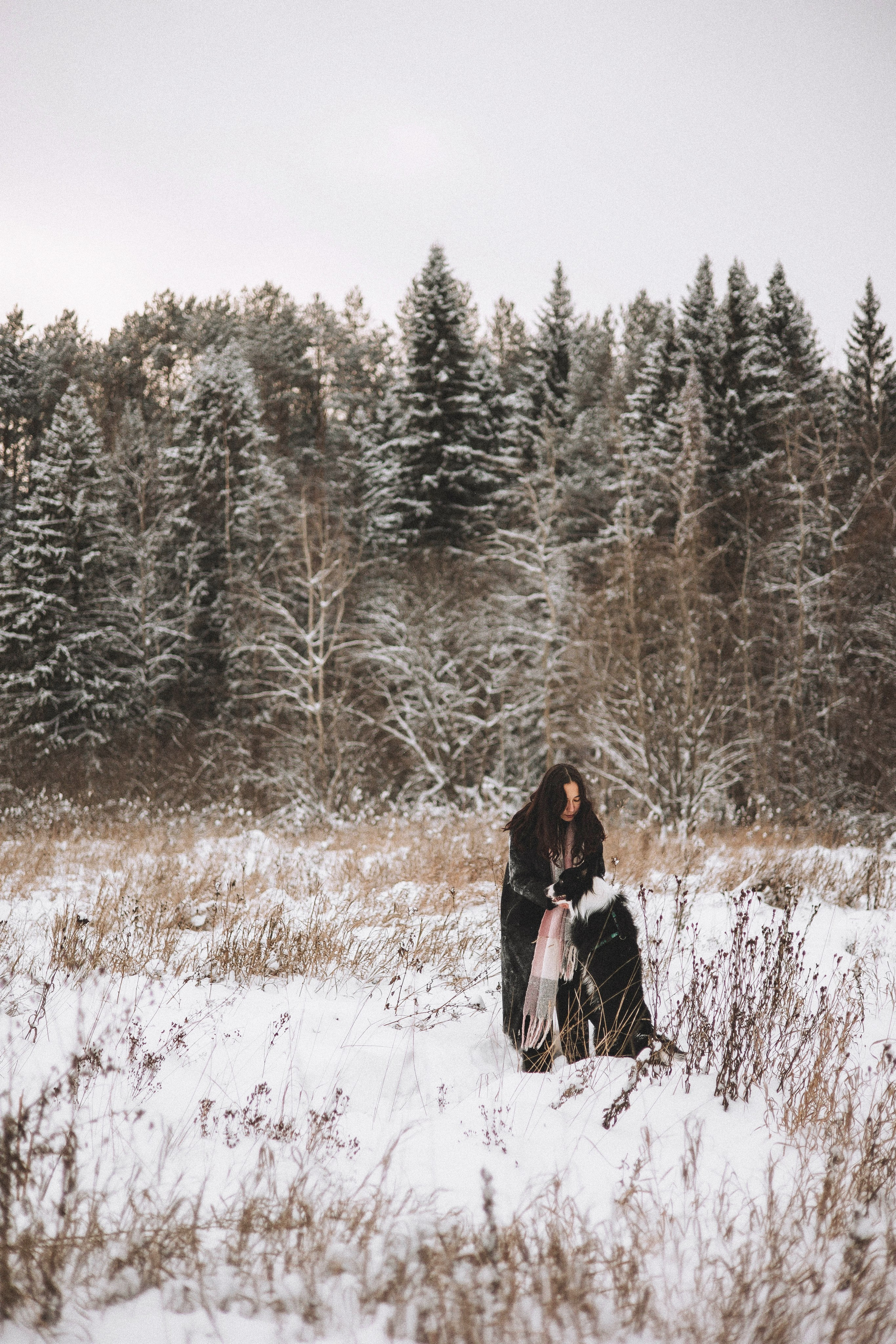 Алина и Найт. Фотограф-анималист Богданова Полина