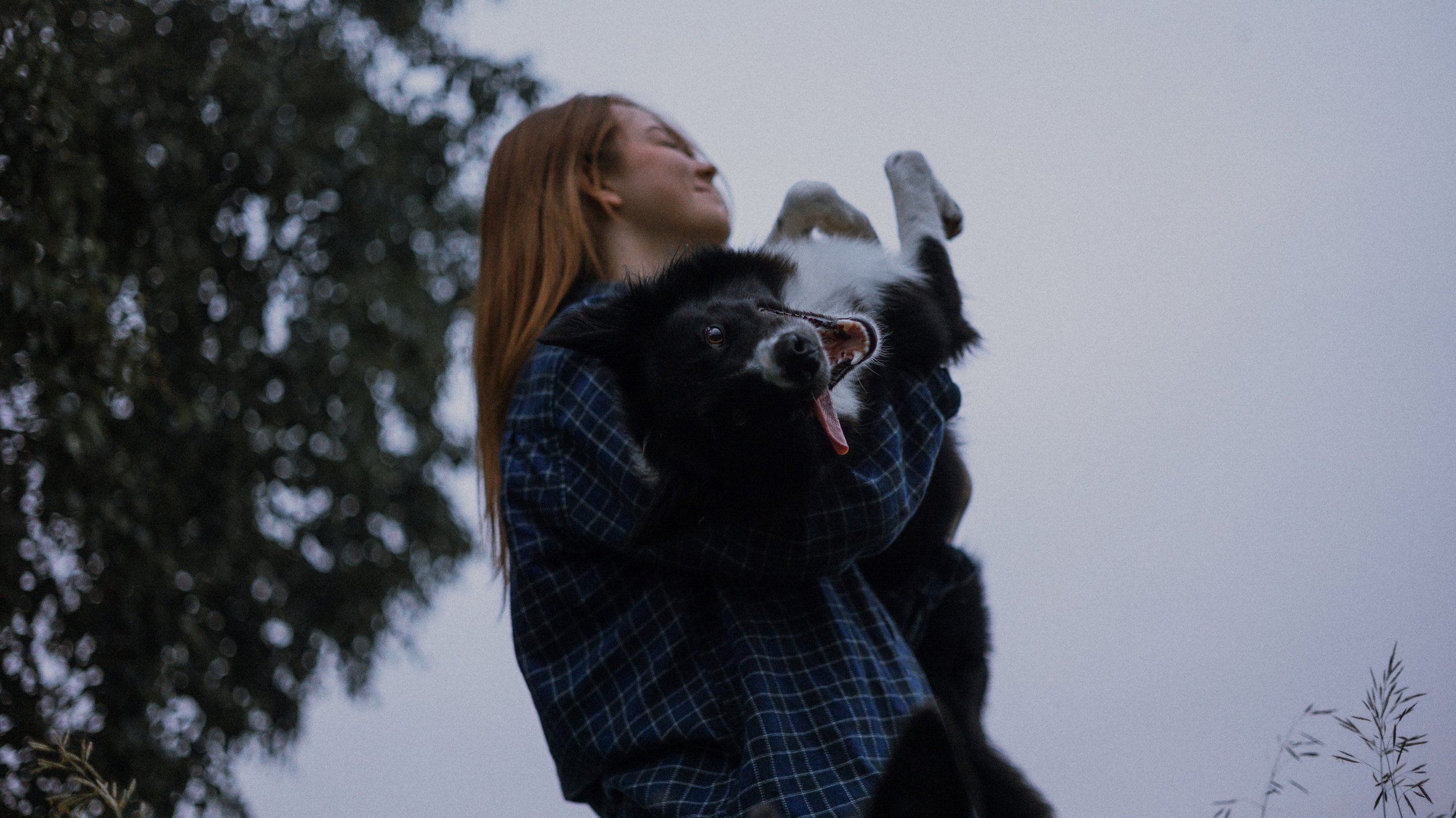 Аделя, Вандер, Шайна и Бая. Фотограф-анималист Богданова Полина