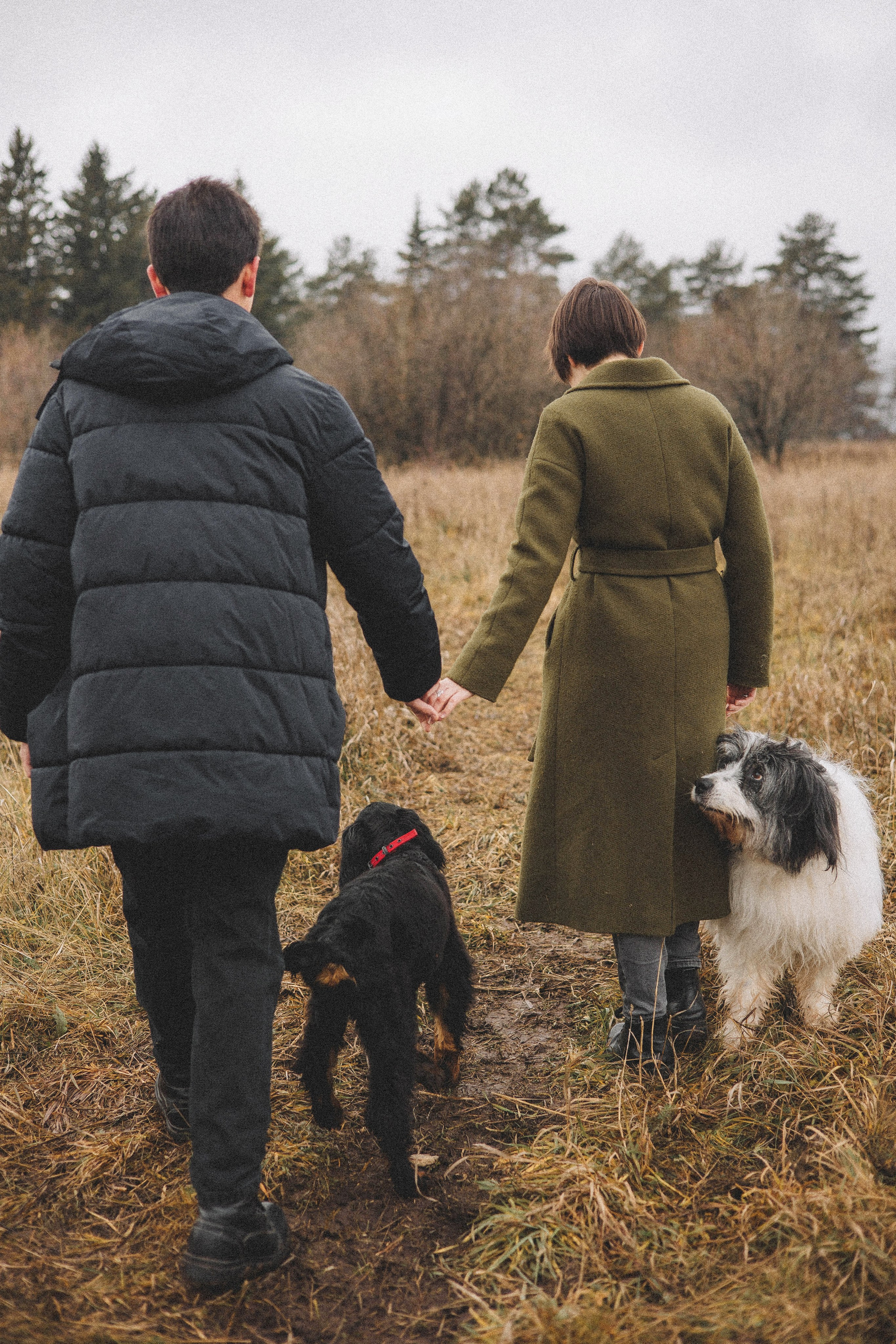 Даша, Глеб, Барс и Бруно. Фотограф-анималист Богданова Полина