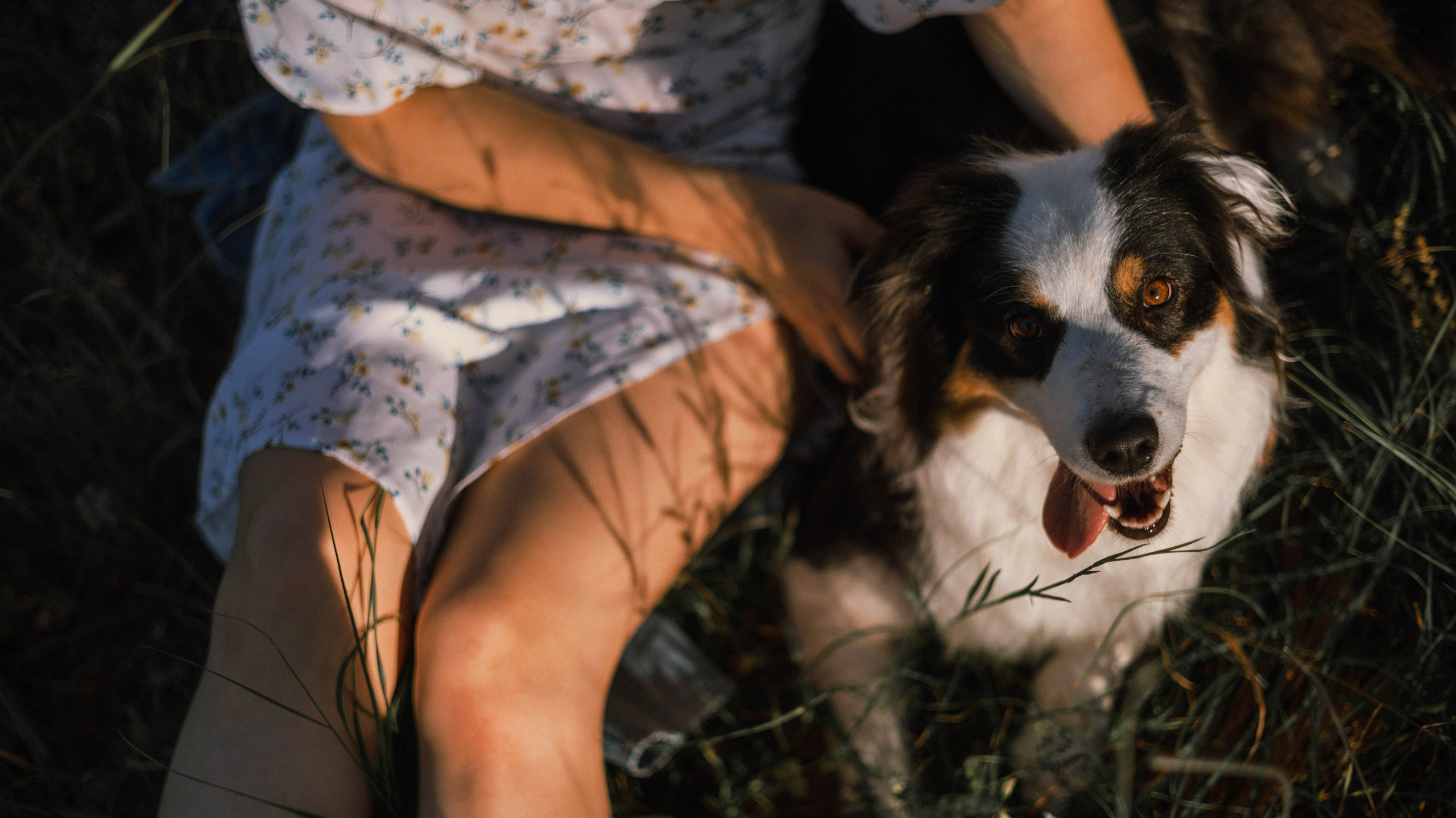 Ира и Джесс. Фотограф-анималист Богданова Полина