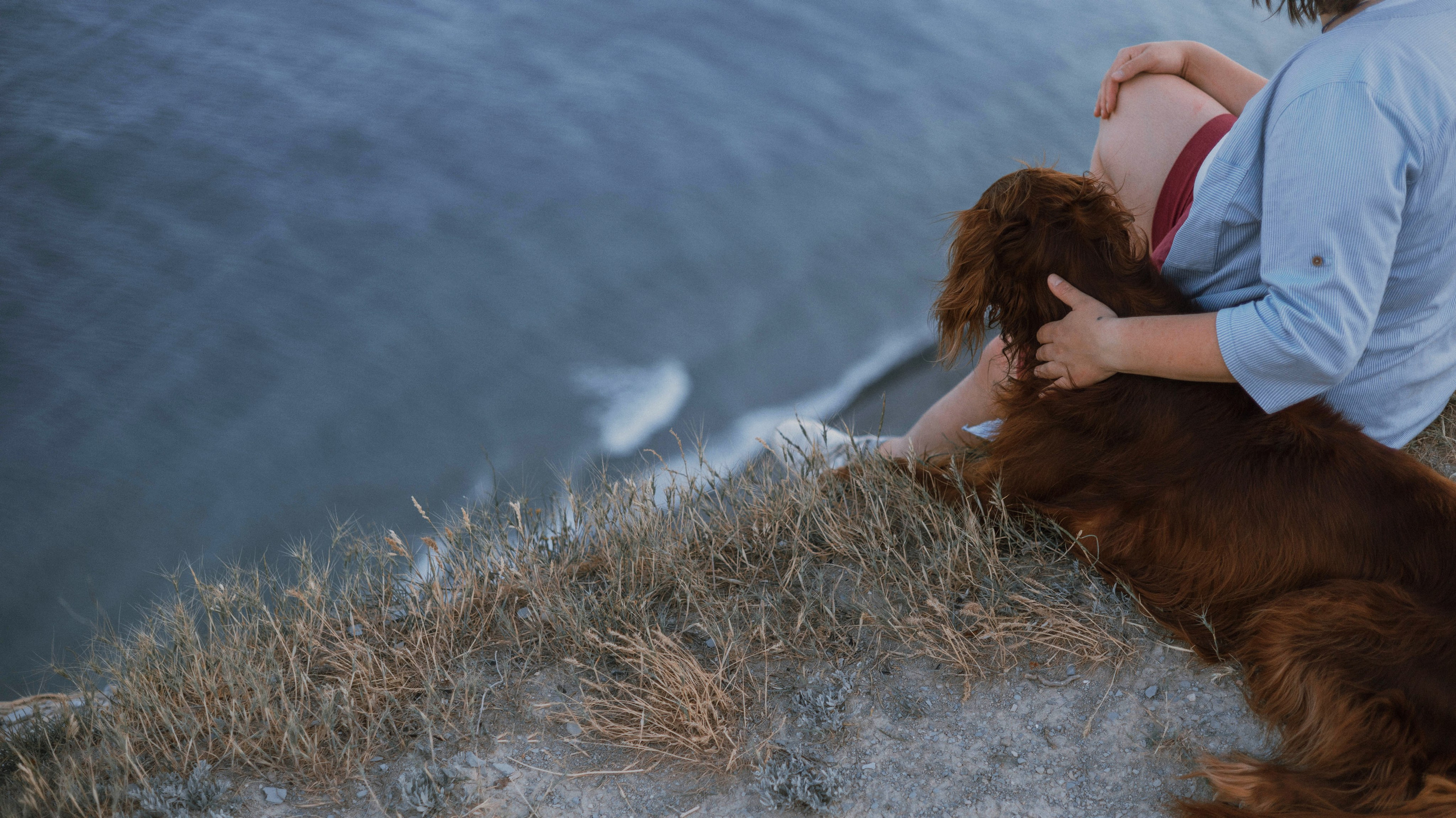 Ольга и Шеймас. Фотограф-анималист Богданова Полина