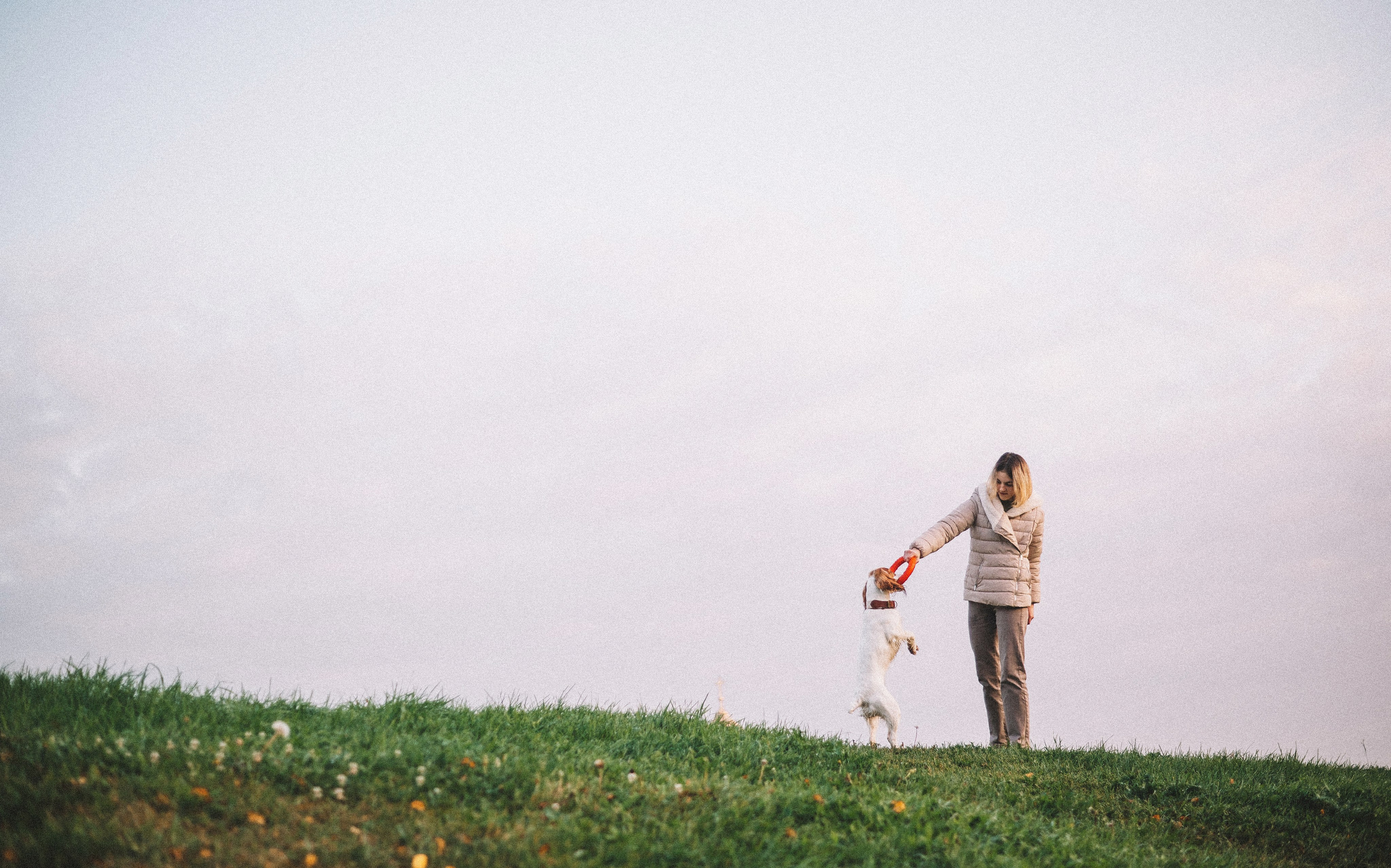 Маша и Вега. Фотограф-анималист Богданова Полина