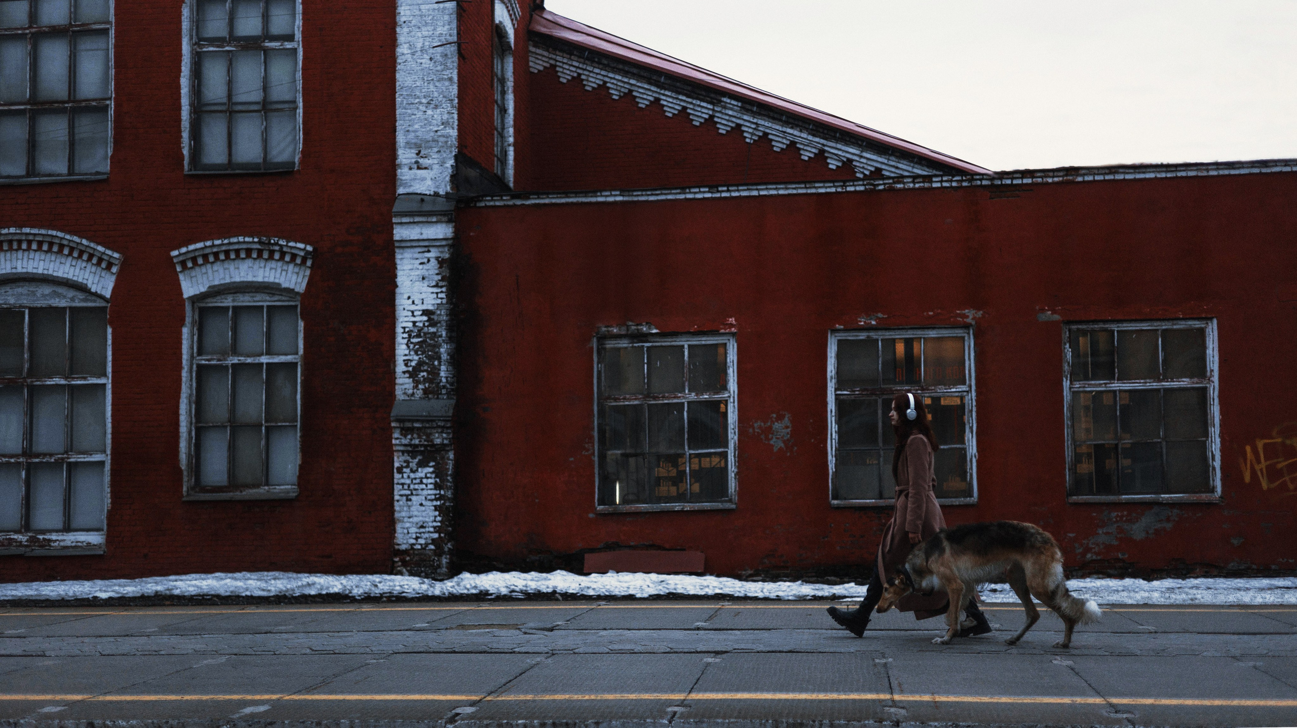 Алёна и Леви. Фотограф-анималист Богданова Полина