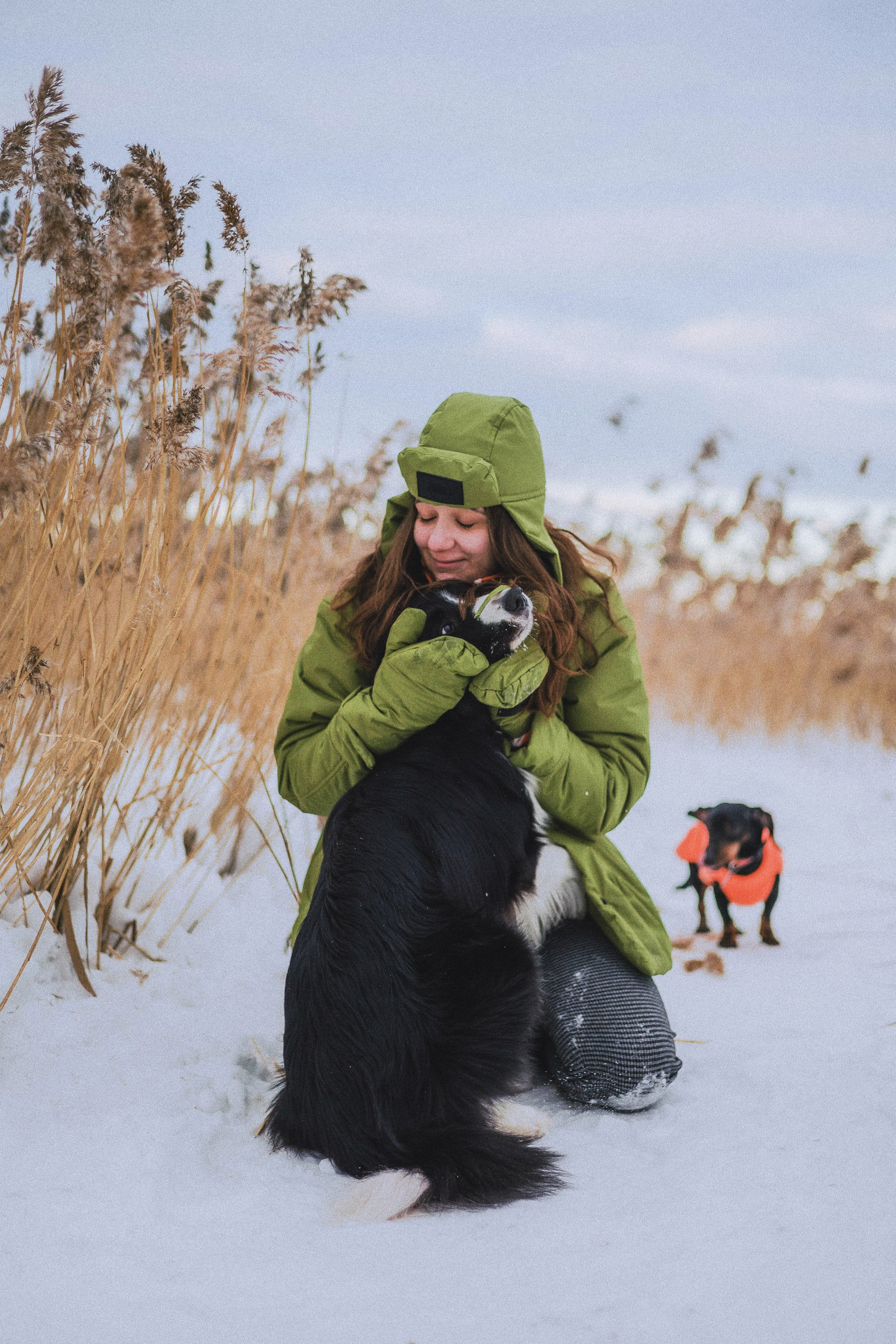 Маша, Рэм и Ньютон. Фотограф-анималист Богданова Полина